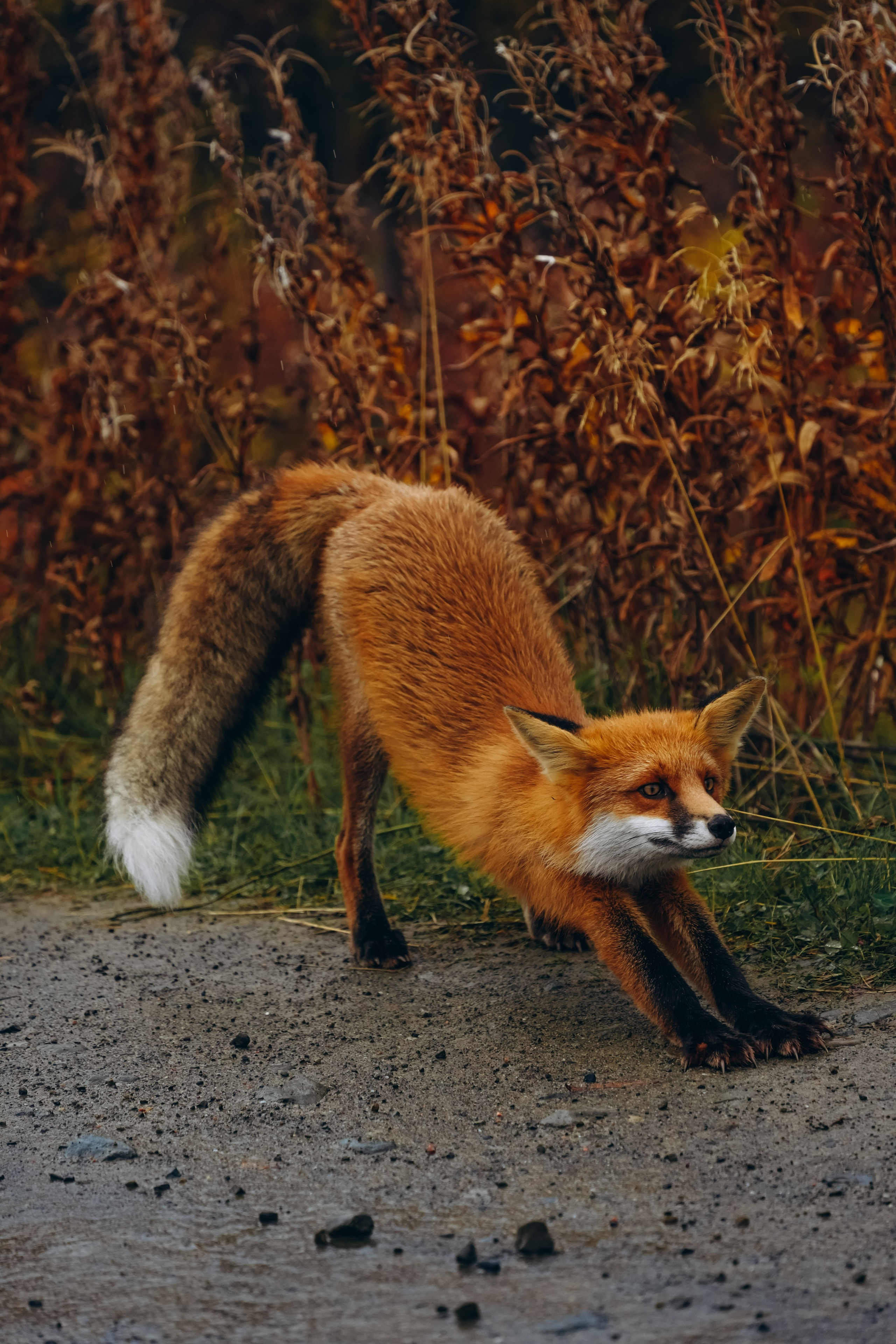 СЕВЕР. Event фотограф Степанова Александра