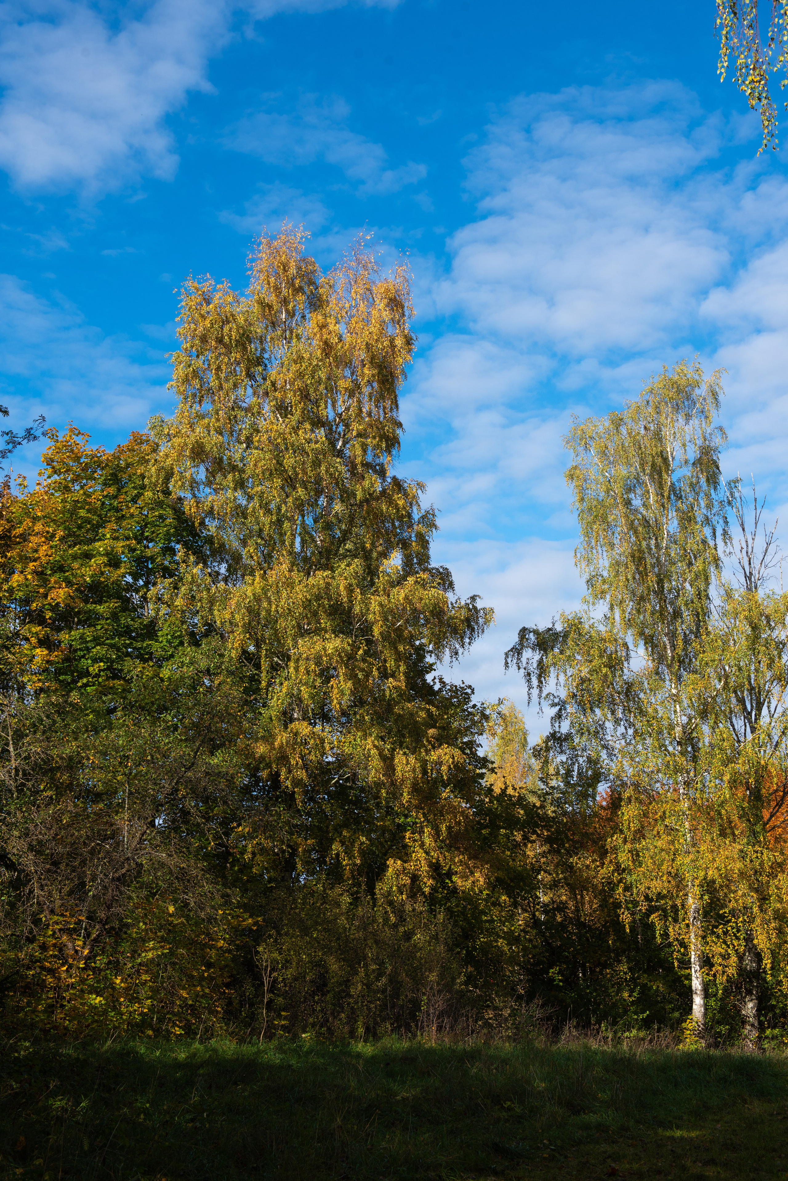Изборск. Портретный и архитектурный фотограф в Москве и Санкт-Петербурге