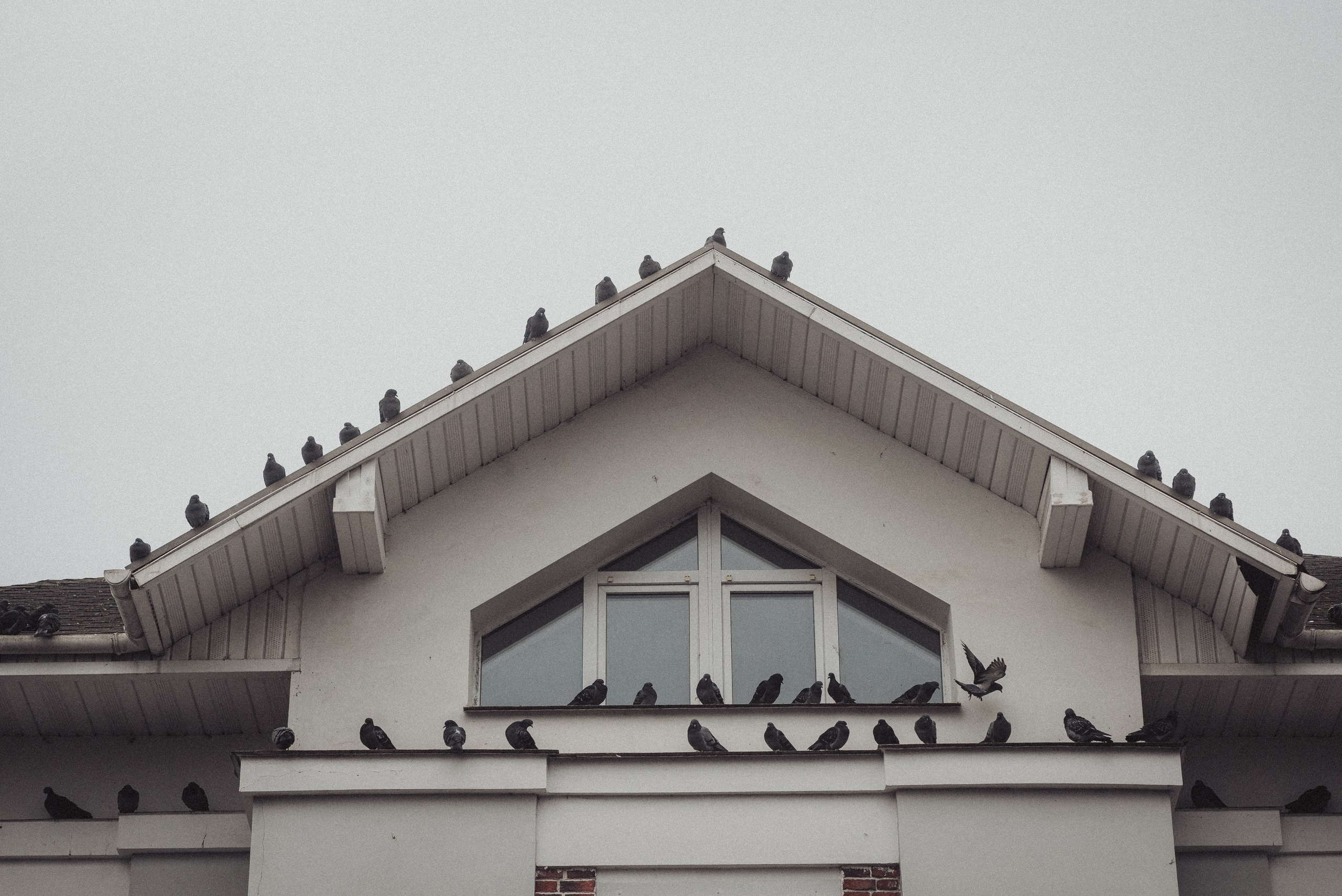 Проект #улицыгорода. Ярославль, улица Волкова. Документальный фотограф Илья Тихановский