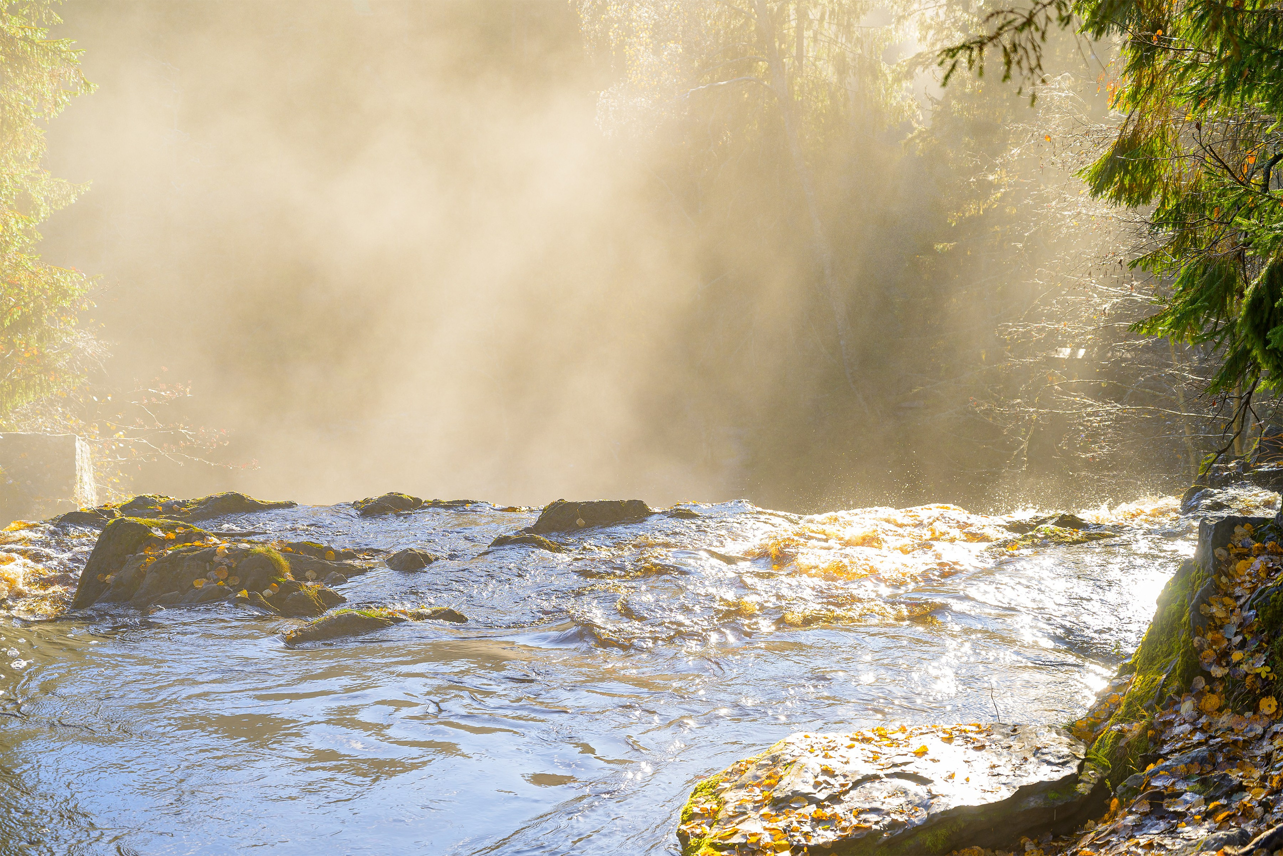 Пейзажики. Фотограф из Боровска в Калужской области