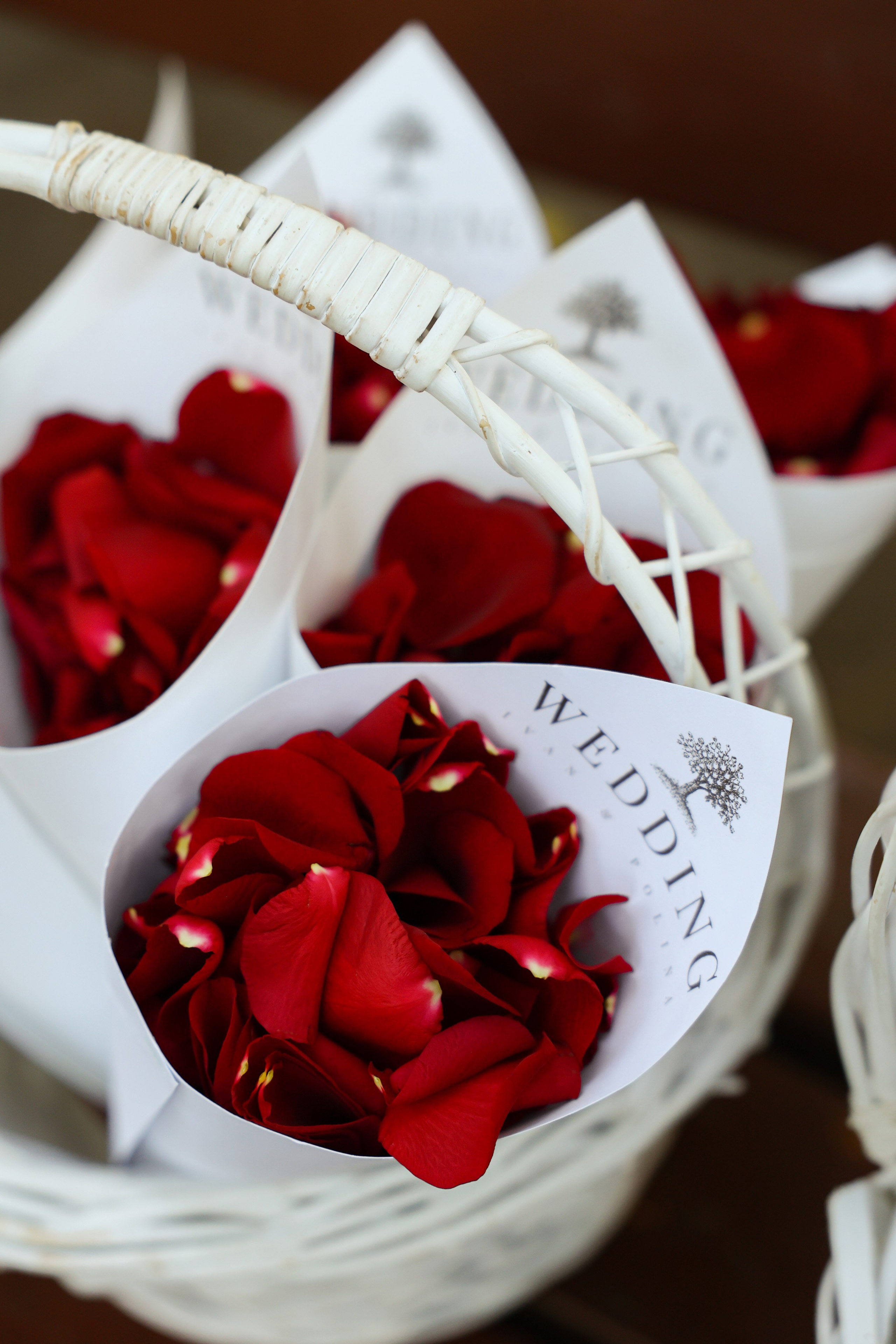 Lesnoi-bereg. Главная