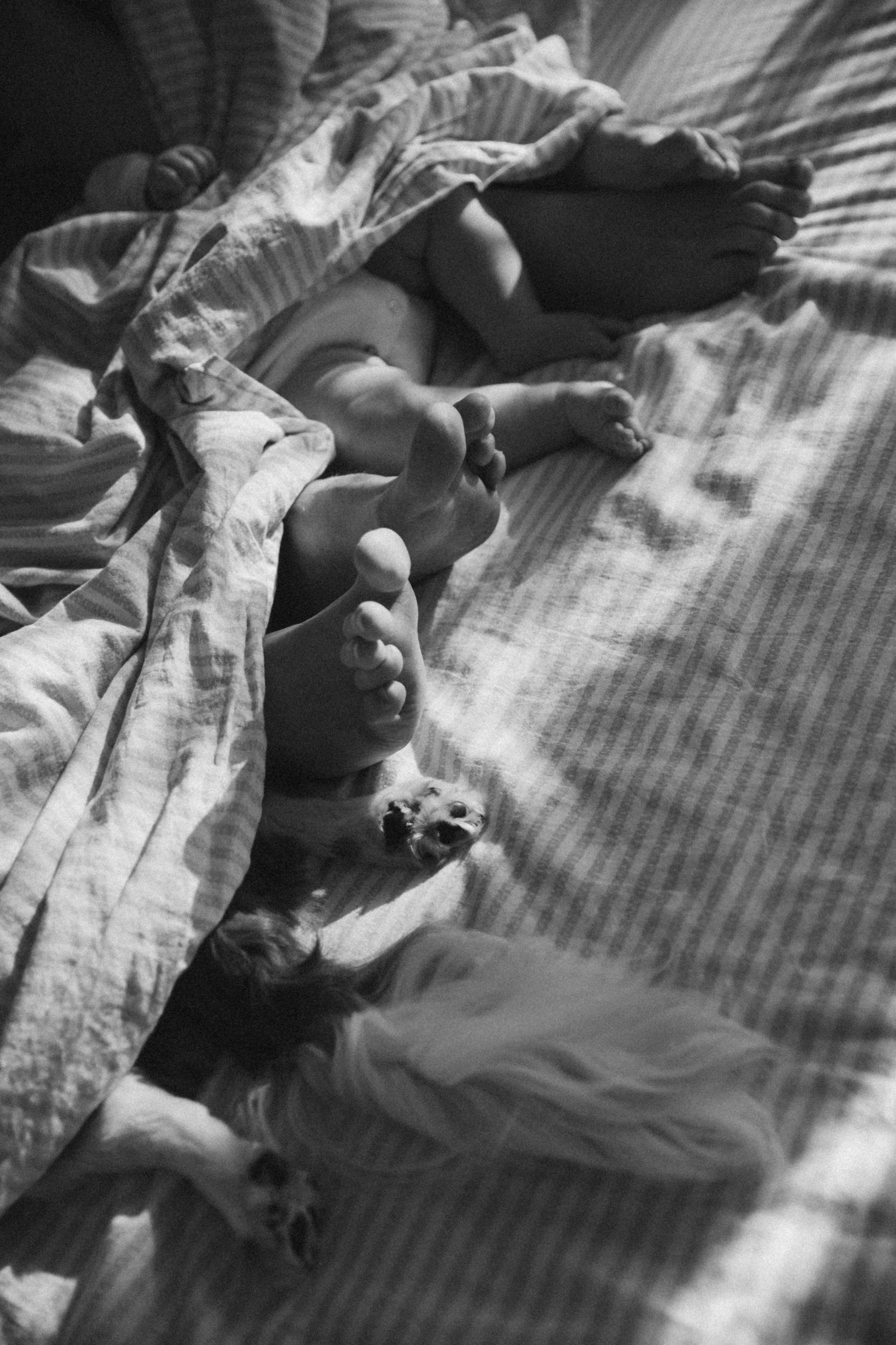 Фотограф Катя Трусова