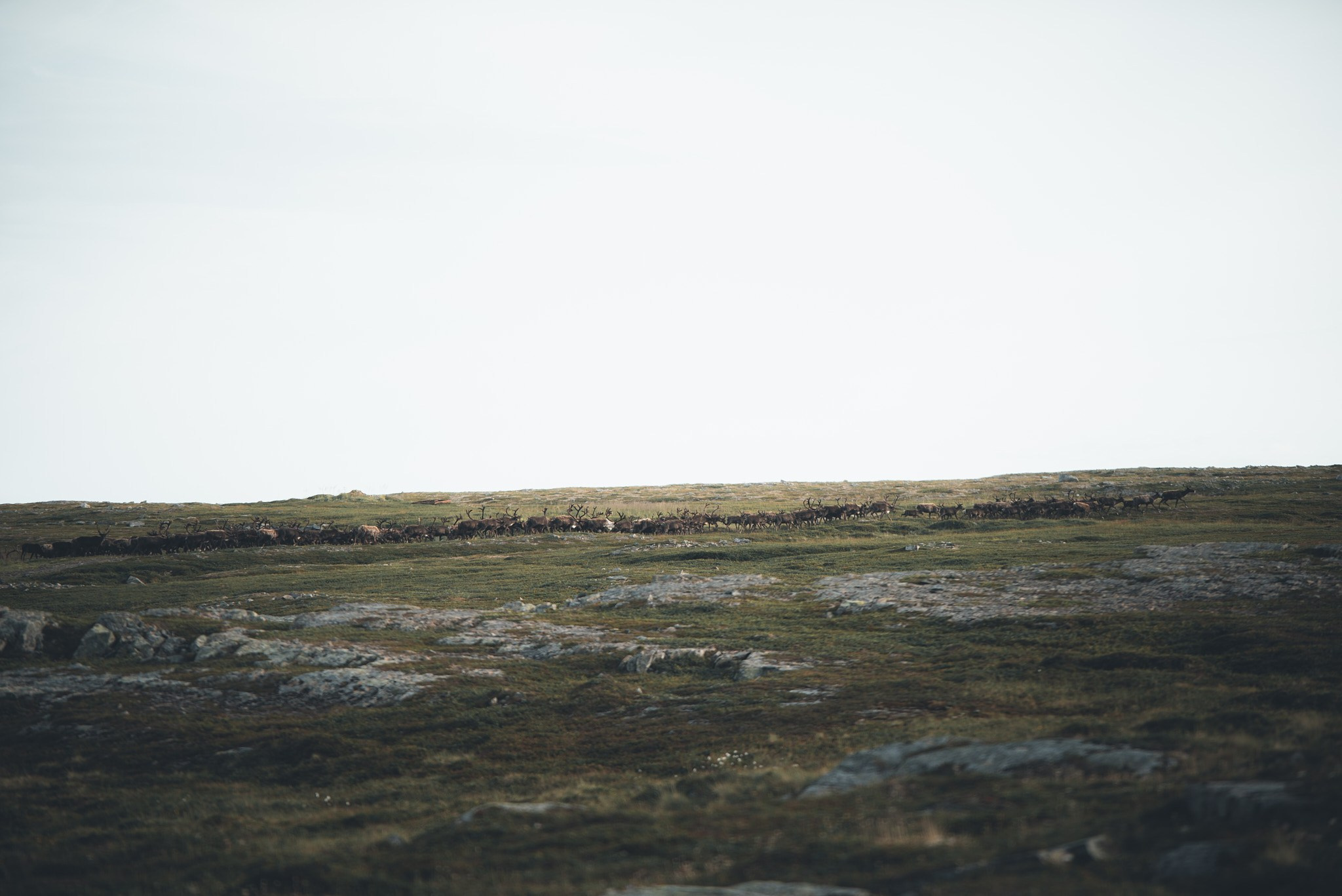 Север 2025. Внедорожные путешествия — OFFROADTRIP