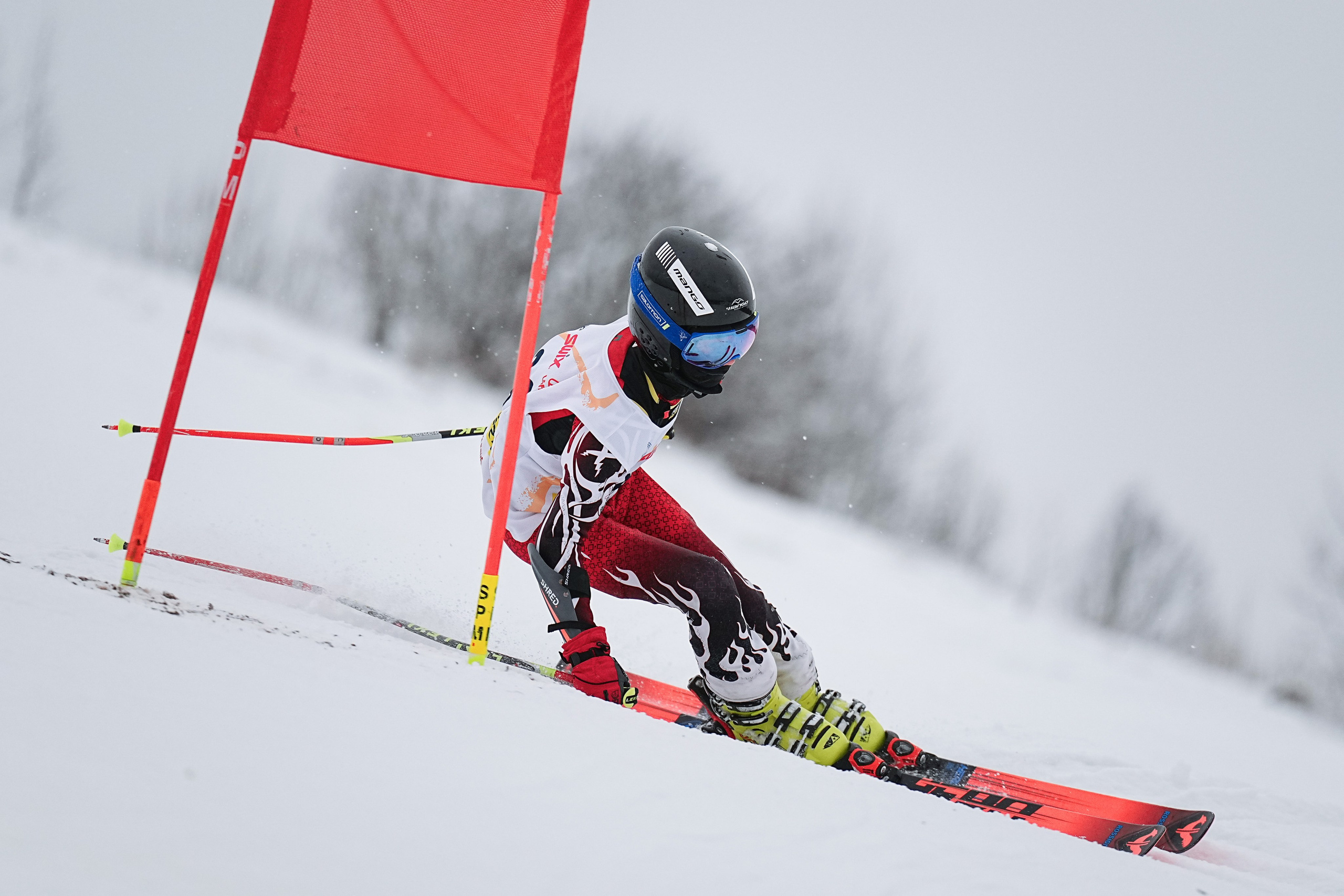 Горные лыжи. Первенство Центрального Федерального Округа. GS U14 Шуколово. Фотограф Студитский Евгений