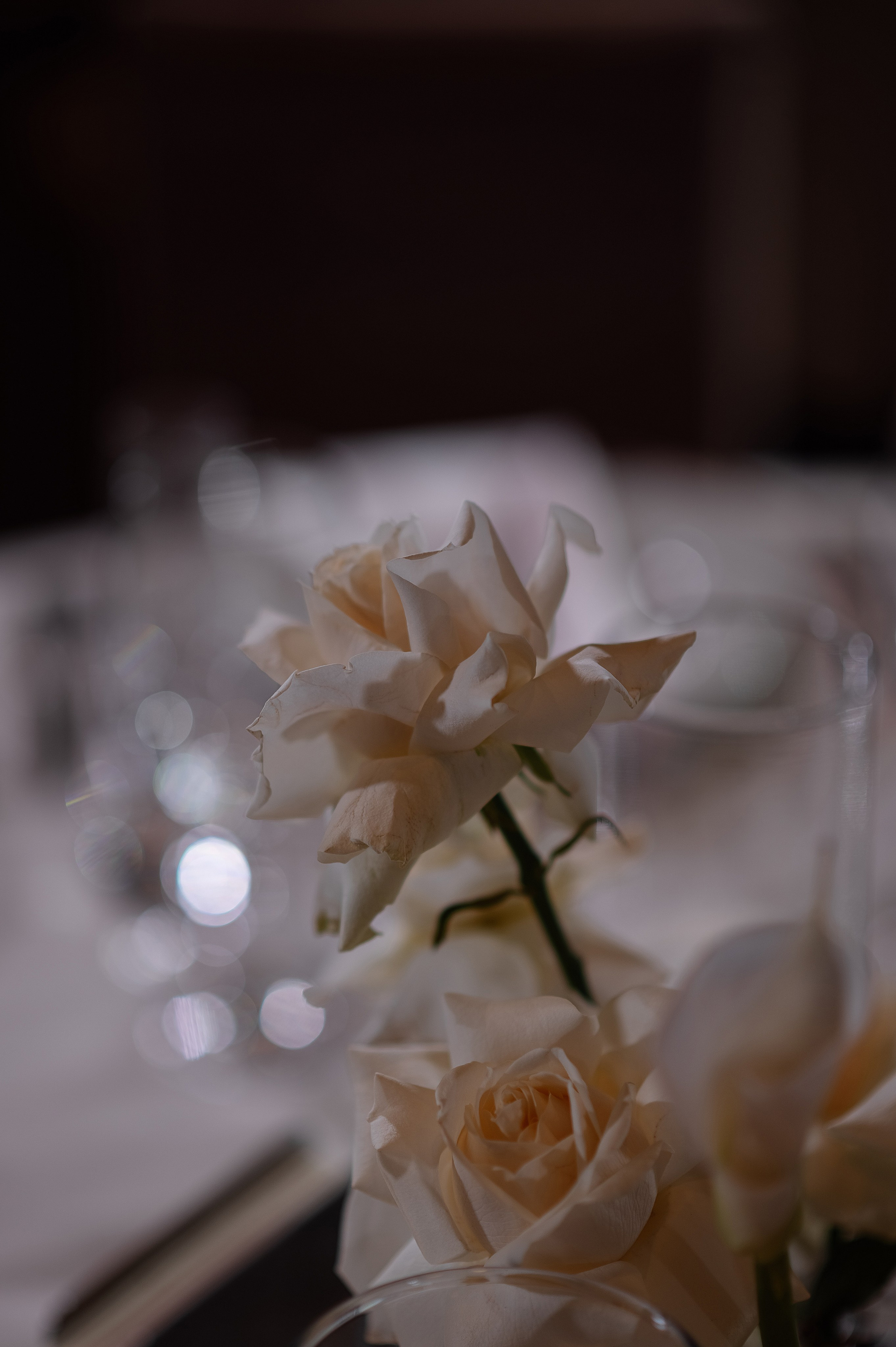 Стас и Алина. Свадебный и семейный фотограф в Ростове-на-Дону Алина Астахова