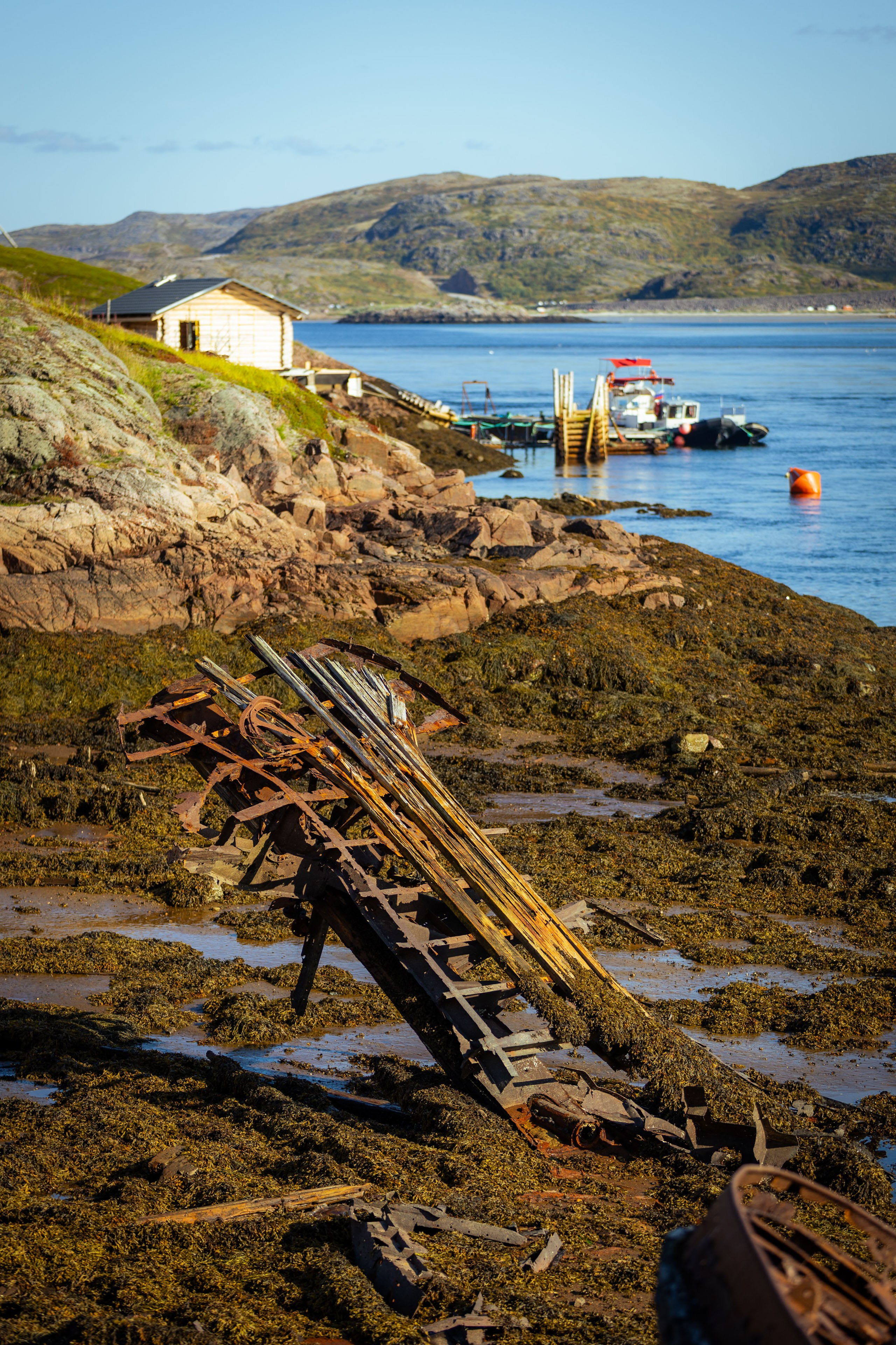 Кольский (осень 2025). Фотограф Виноградов Константин