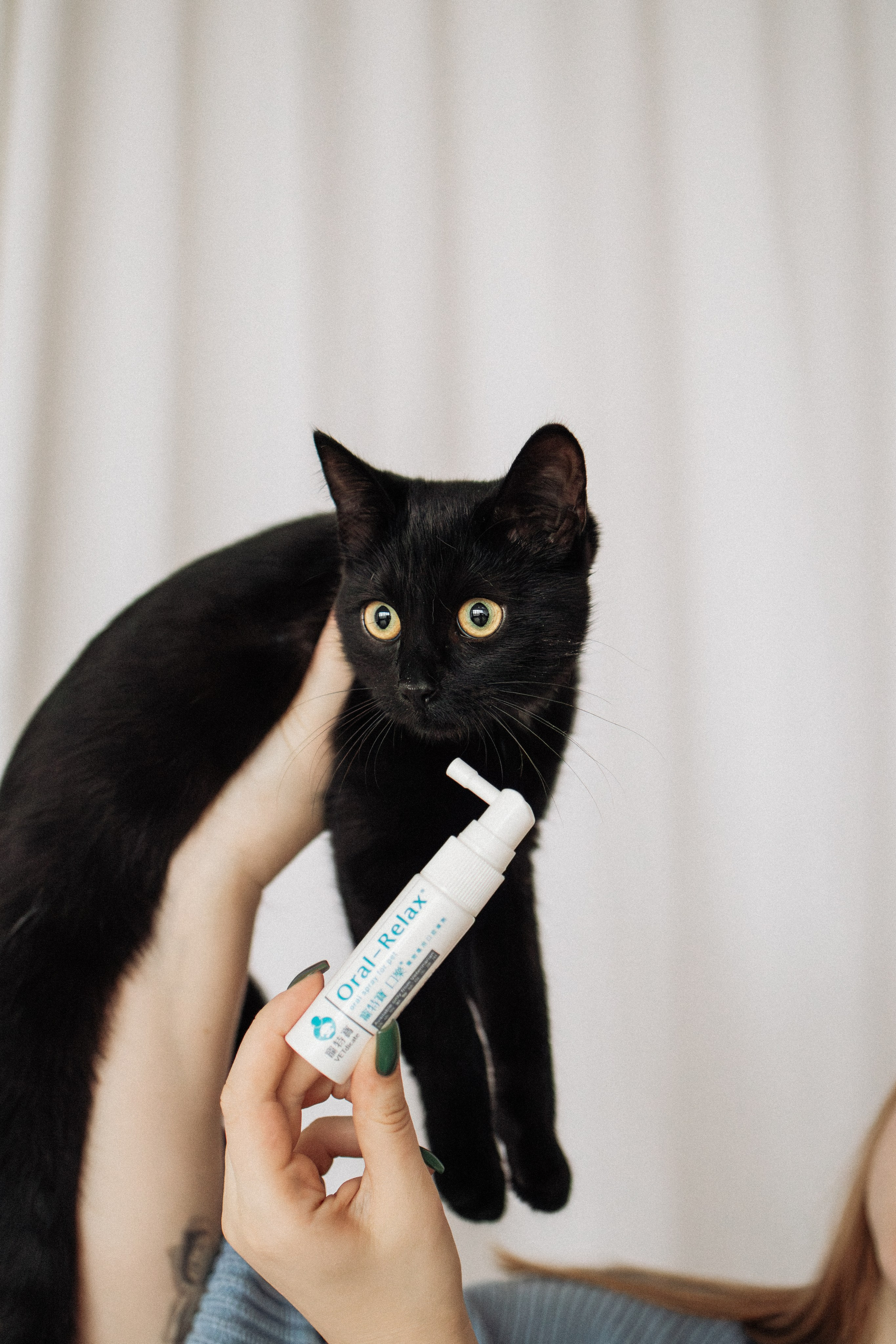 Orozyme&Emmiepet. Фотораф — анималист Мария Шистка