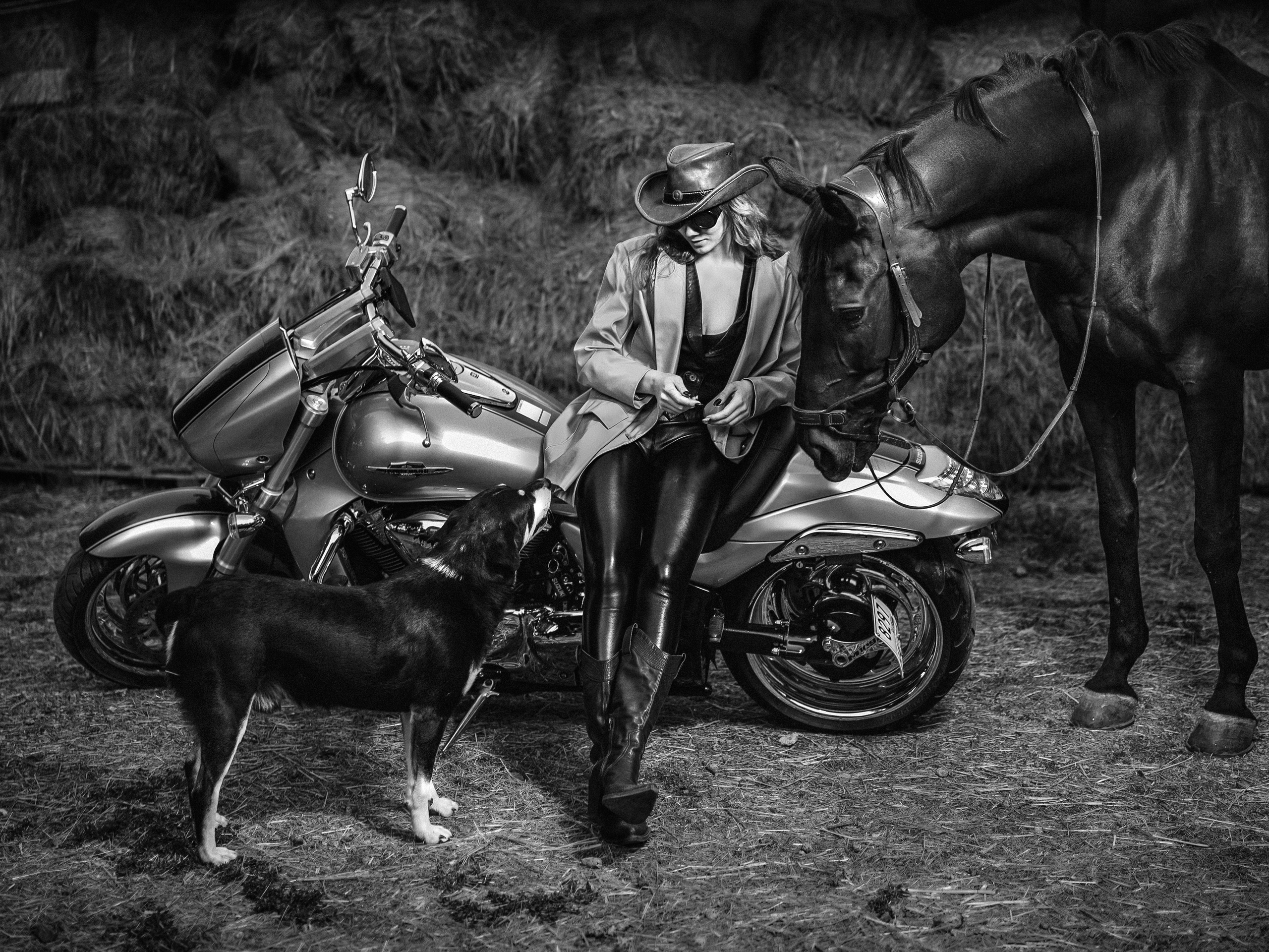 Фотограф Олег Сотник