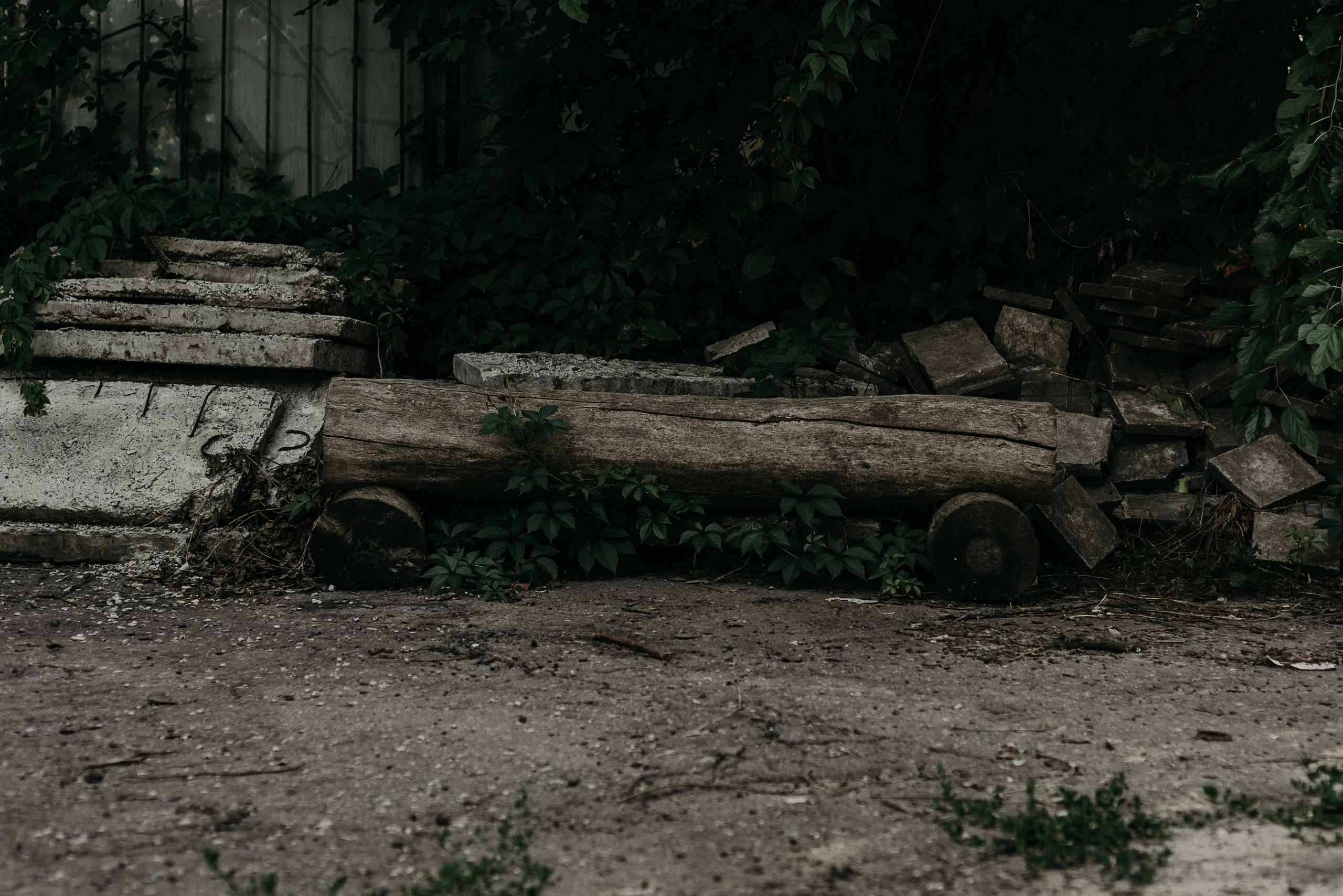 Ростов-на-Дону: через объектив фотографа из Гуанчжоу. Коммерческий и предметный фотограф в Гуанчжоу Коваленко Александр