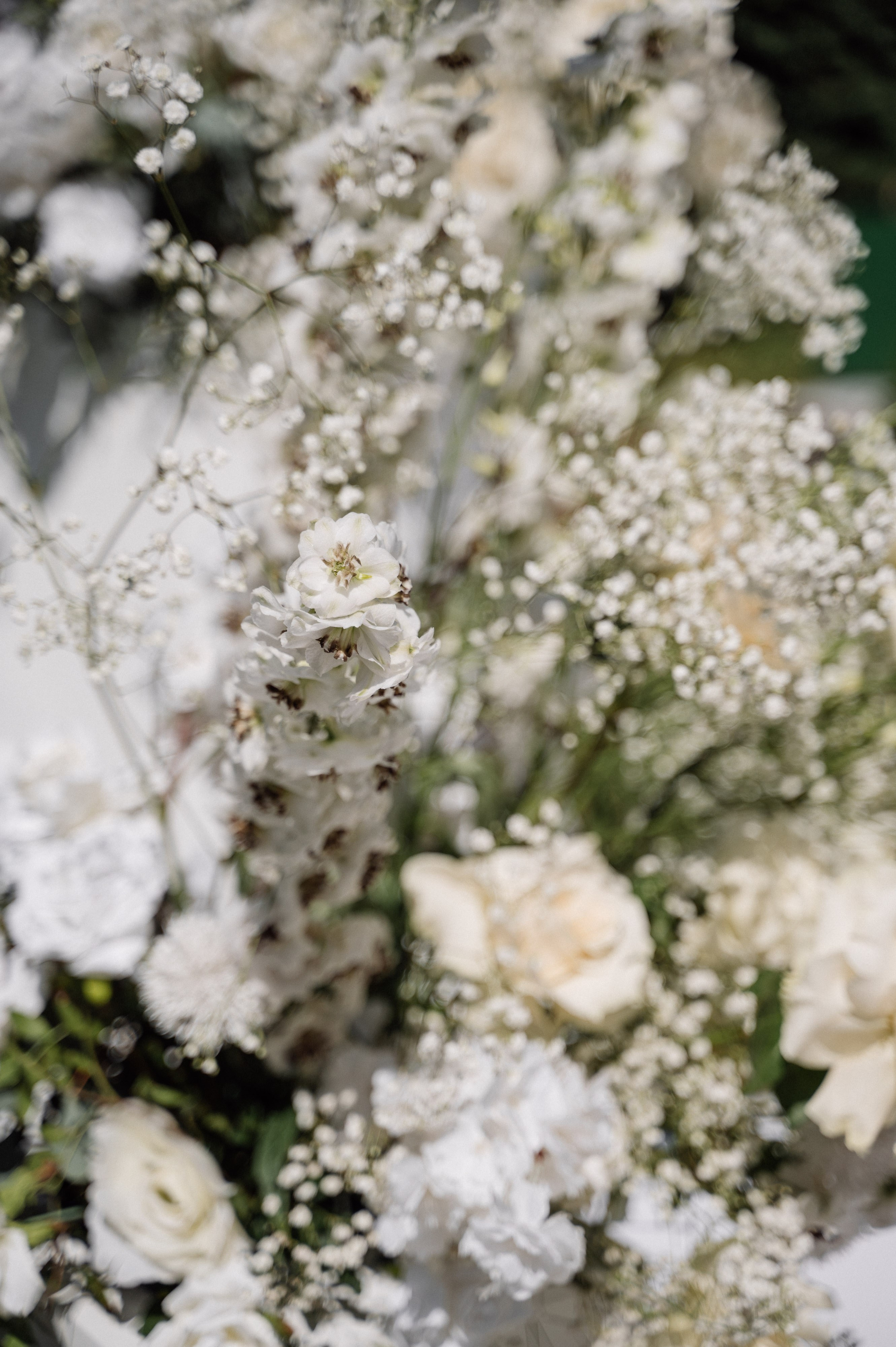 Петя и Вероника. Свадебный фотограф Минск