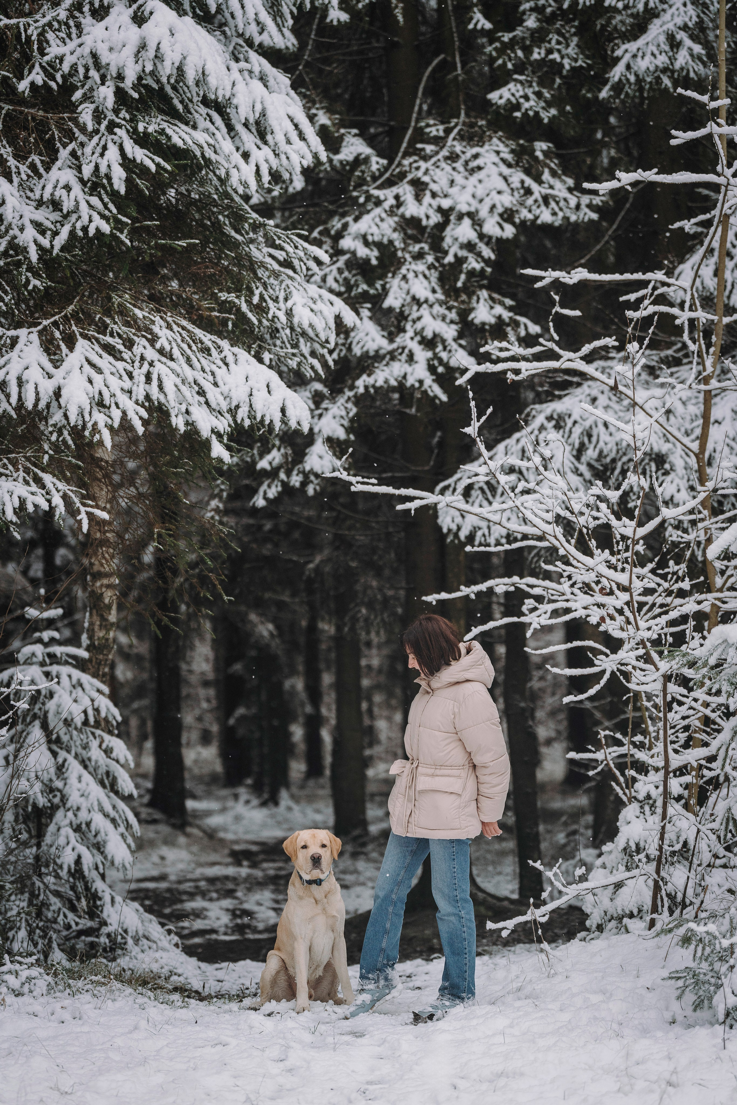 Аня и Честер. Фотограф анималист в Спб недорого Олеся Майорова