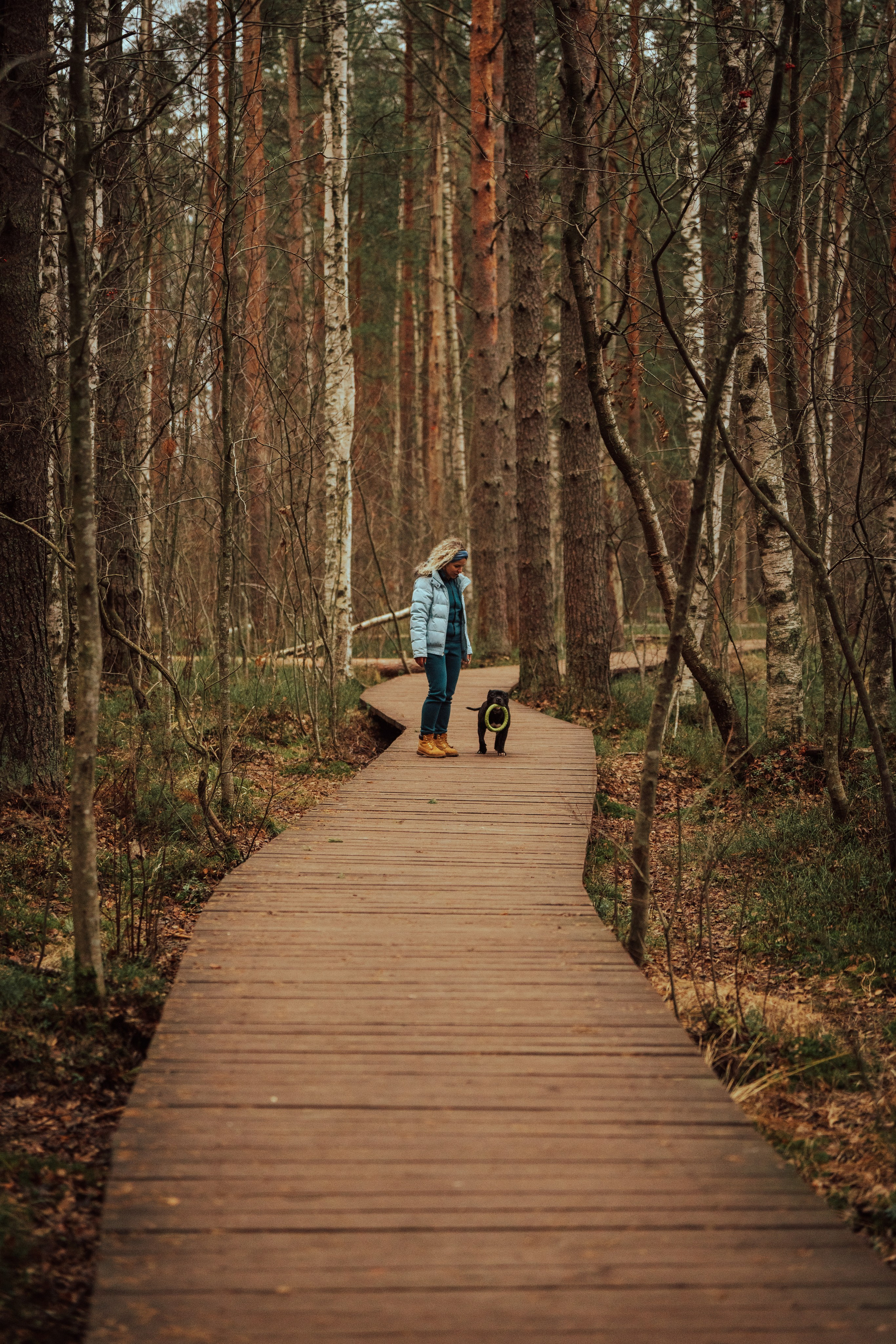 Фотограф анималист в Санкт-Петербурге. Фотограф анималист в Спб недорого Олеся Майорова