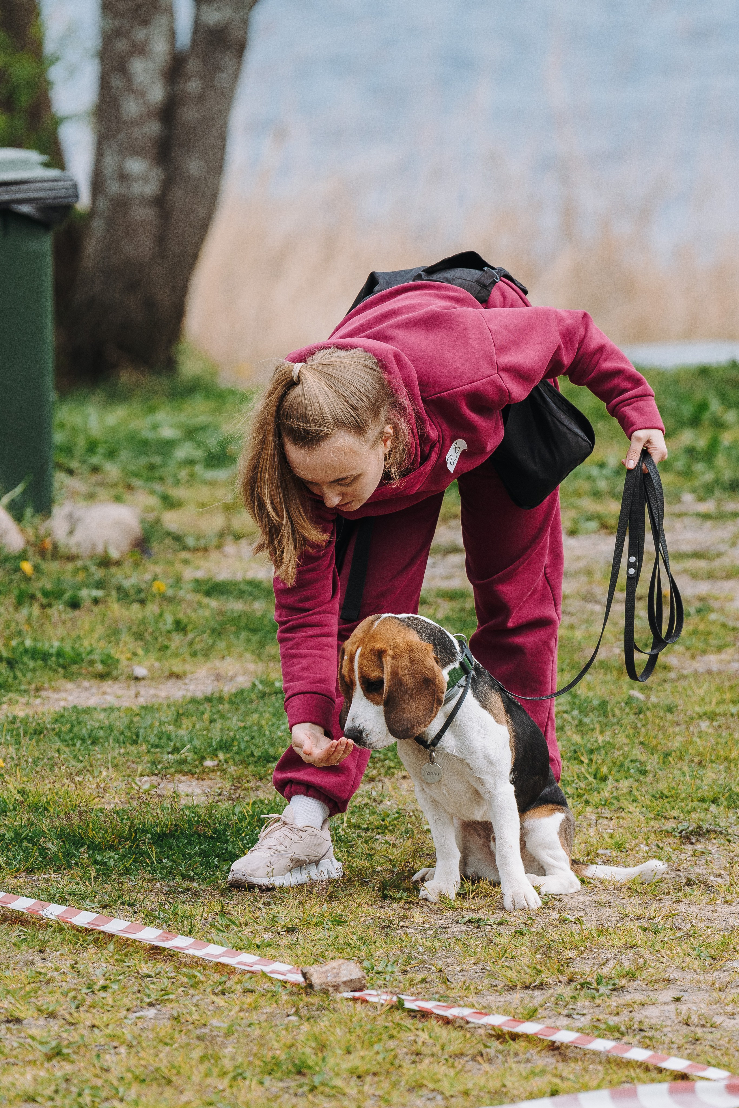 Соревнования по ноузворку в Лосево. Фотограф анималист в Спб недорого Олеся Майорова