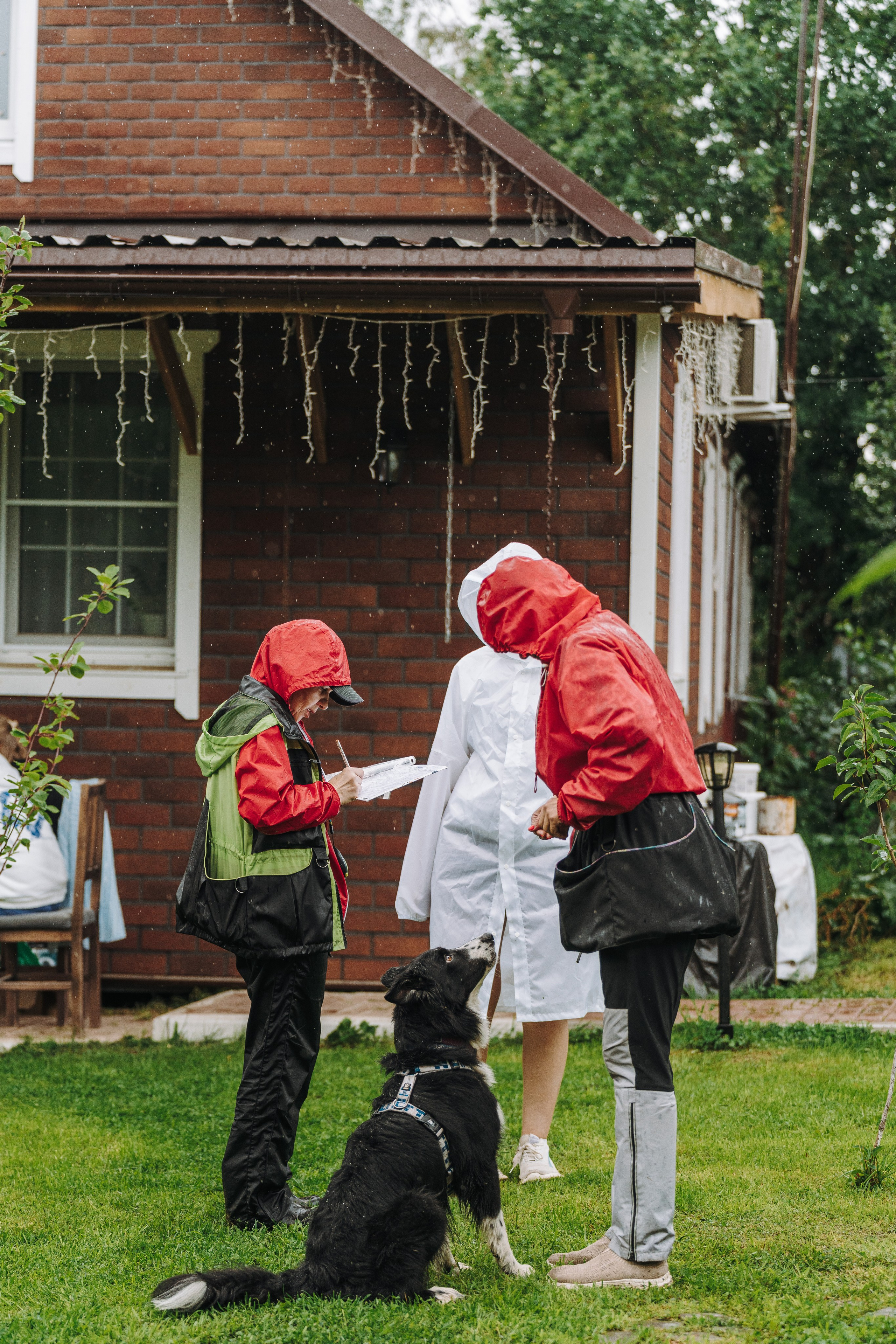 Соревнования по ноузворку в Новожилово. Фотограф анималист в Спб недорого Олеся Майорова