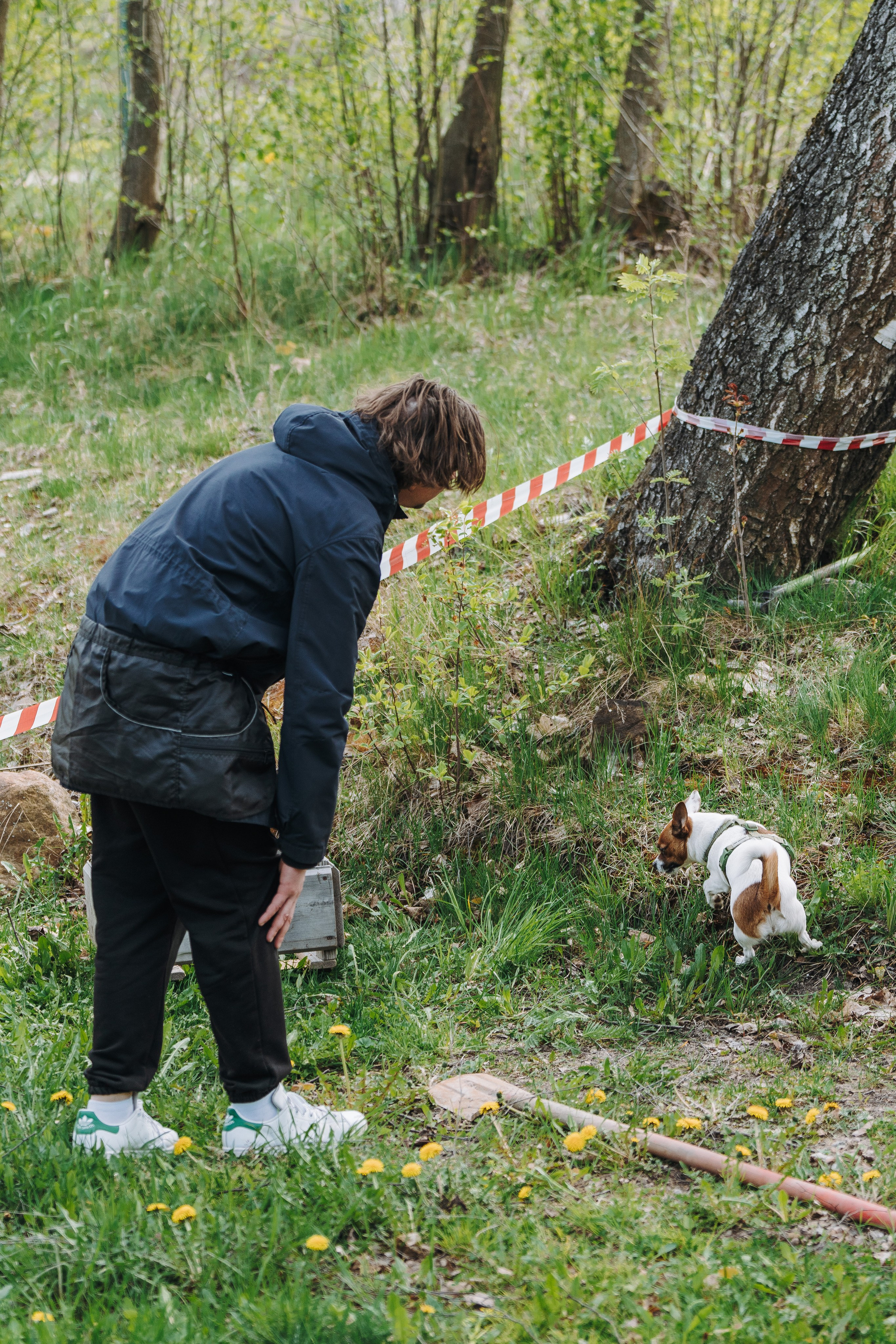 Соревнования по ноузворку в Лосево. Фотограф анималист в Спб недорого Олеся Майорова