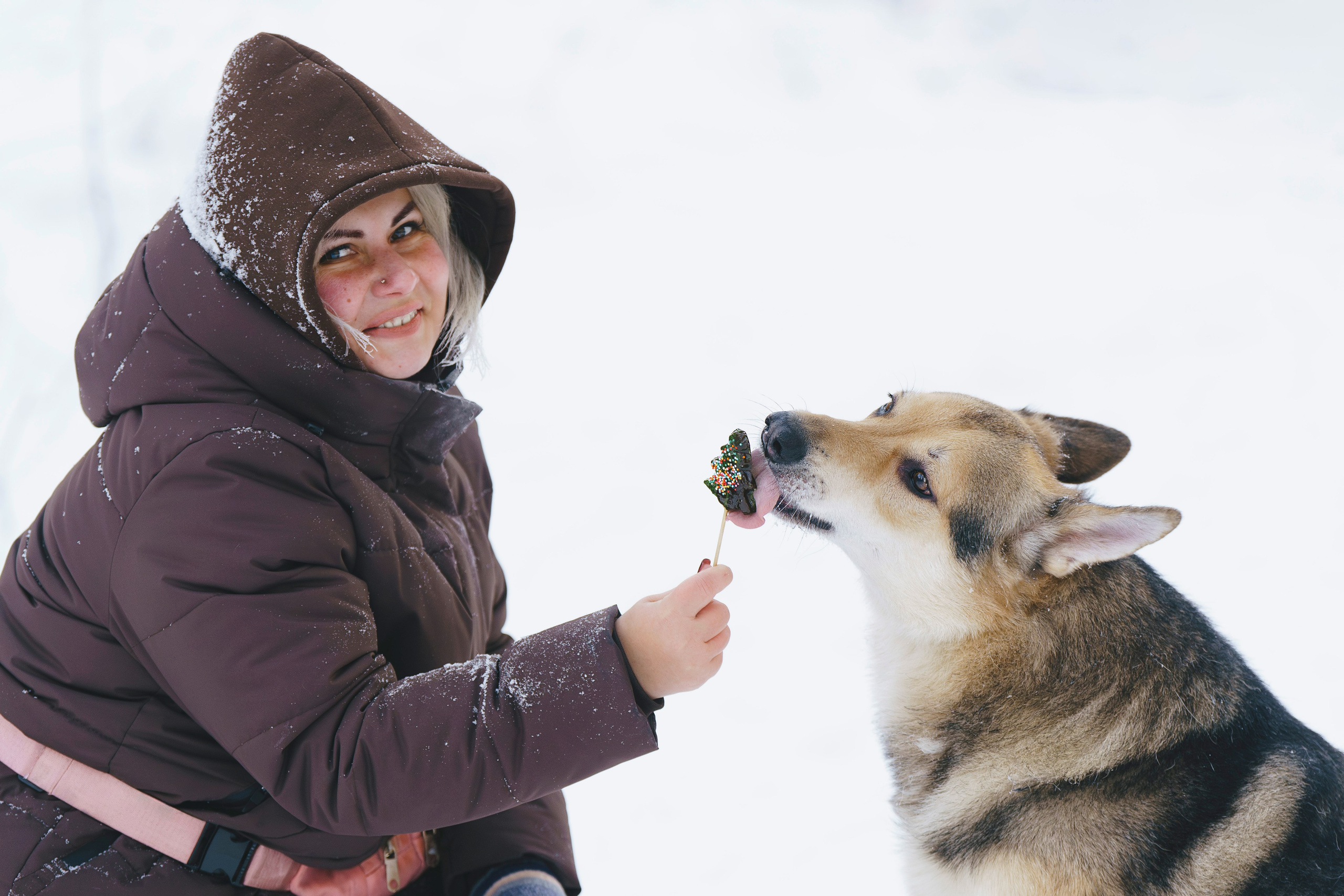 Рэй, Кузя, Ольга и Александр. Фотограф анималист в Спб недорого Олеся Майорова