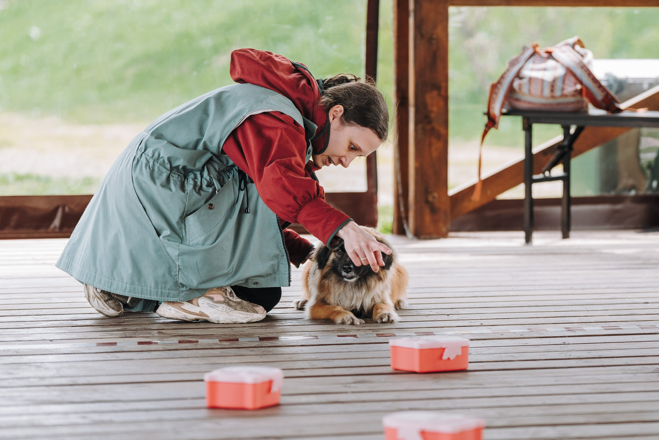Соревнования по ноузворку в Лосево. Фотограф анималист в Спб недорого Олеся Майорова