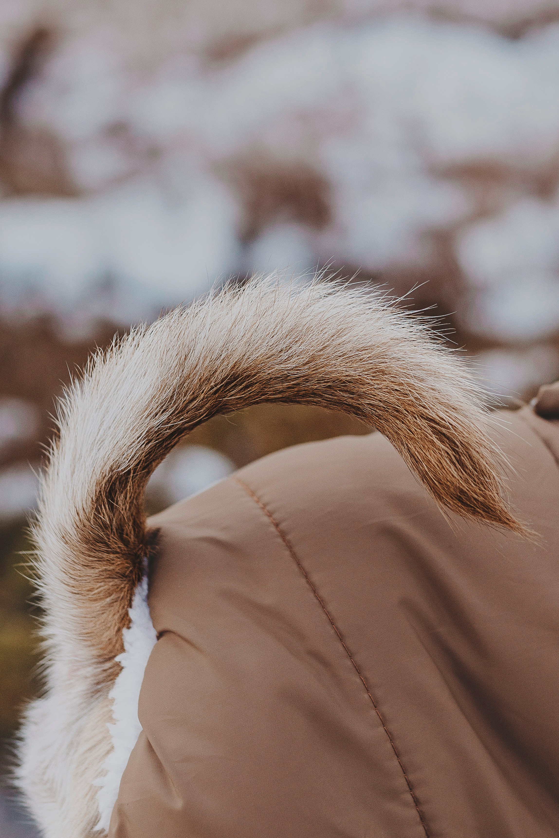 Наталия и Боря. Фотограф анималист в Спб недорого Олеся Майорова