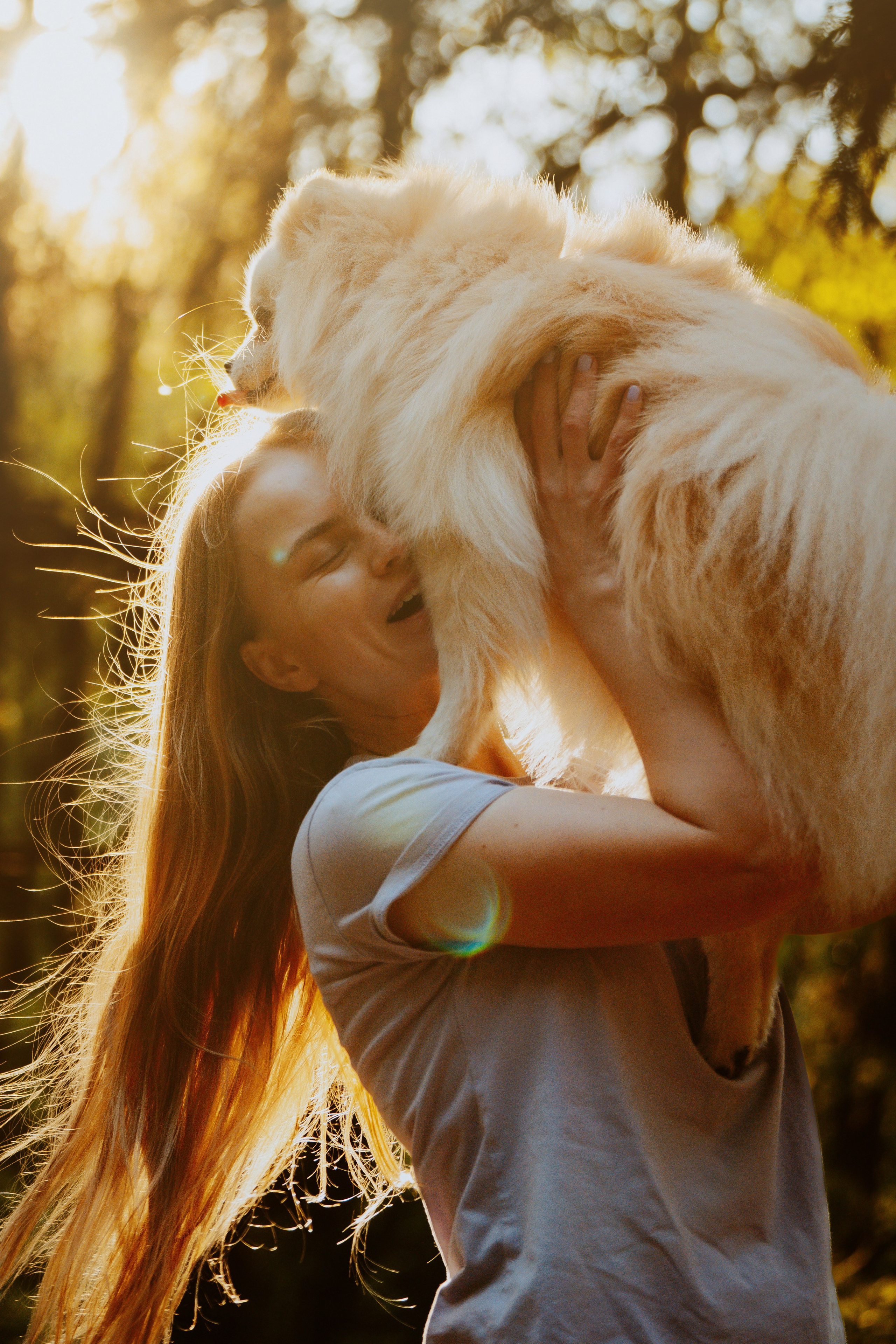 Фотосессия с собачкой в лесу. Фотограф анималист в Спб недорого Олеся Майорова