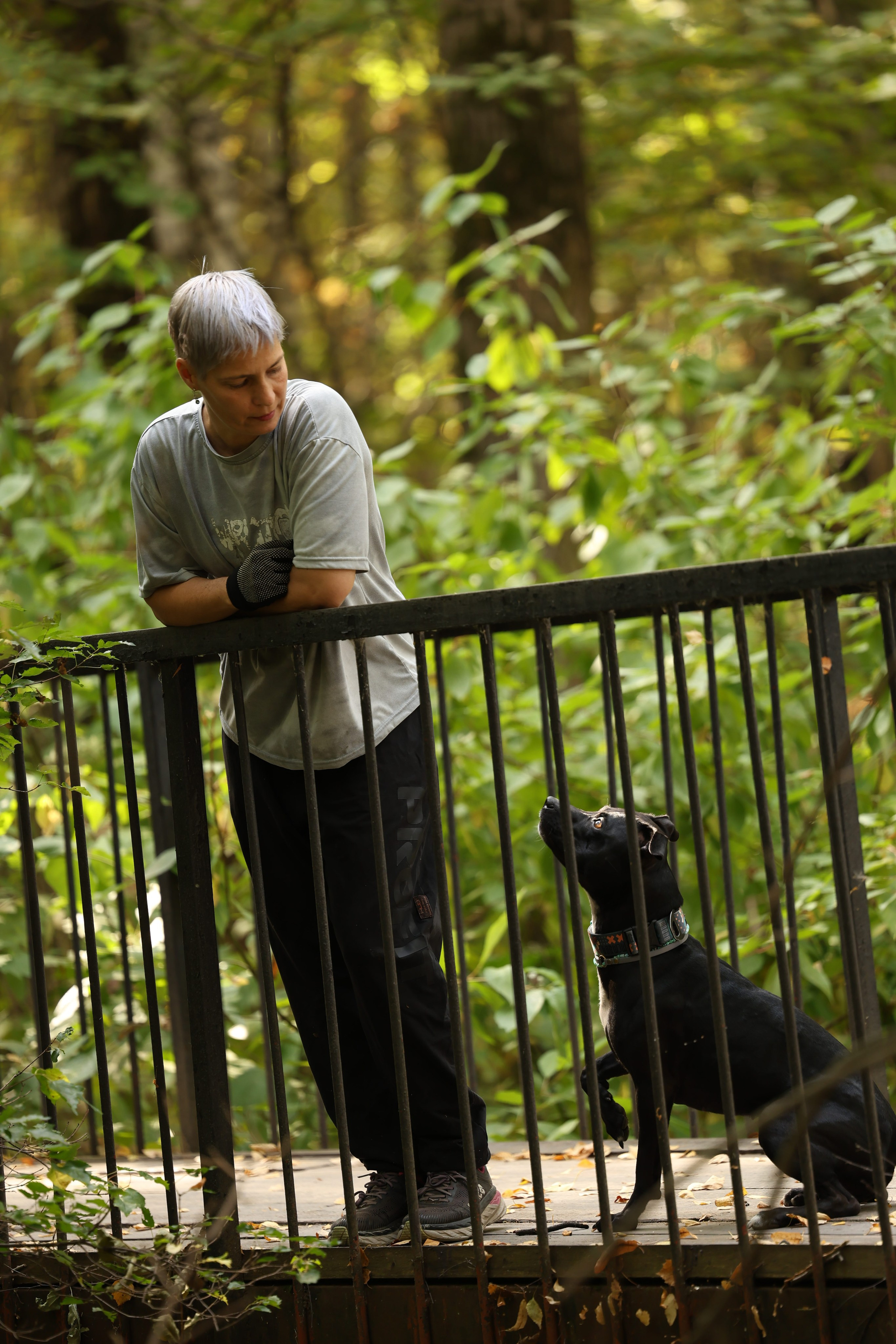 Алена и Бора. Виктория Михайловская. Фотограф-анималист. Москва