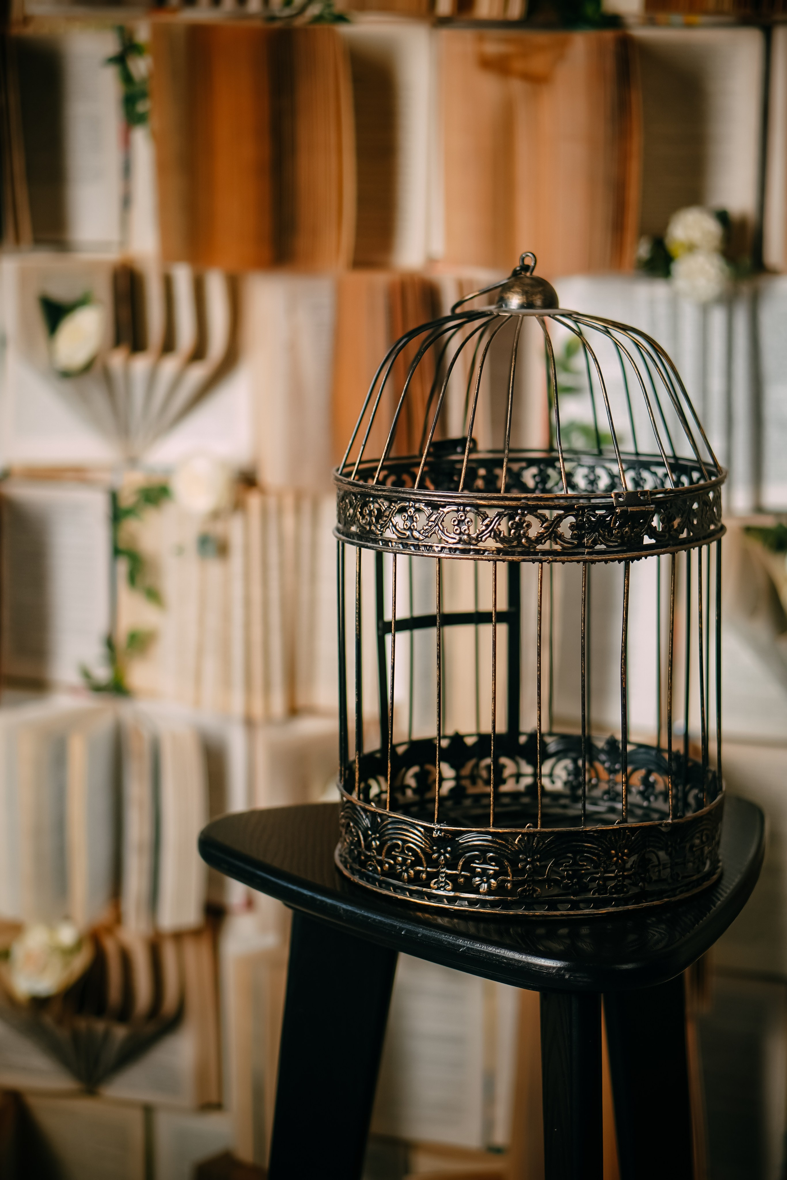 Зал DZEN фотостудия Побелка. Фотостудия в Саратове. Фотограф в Саратове