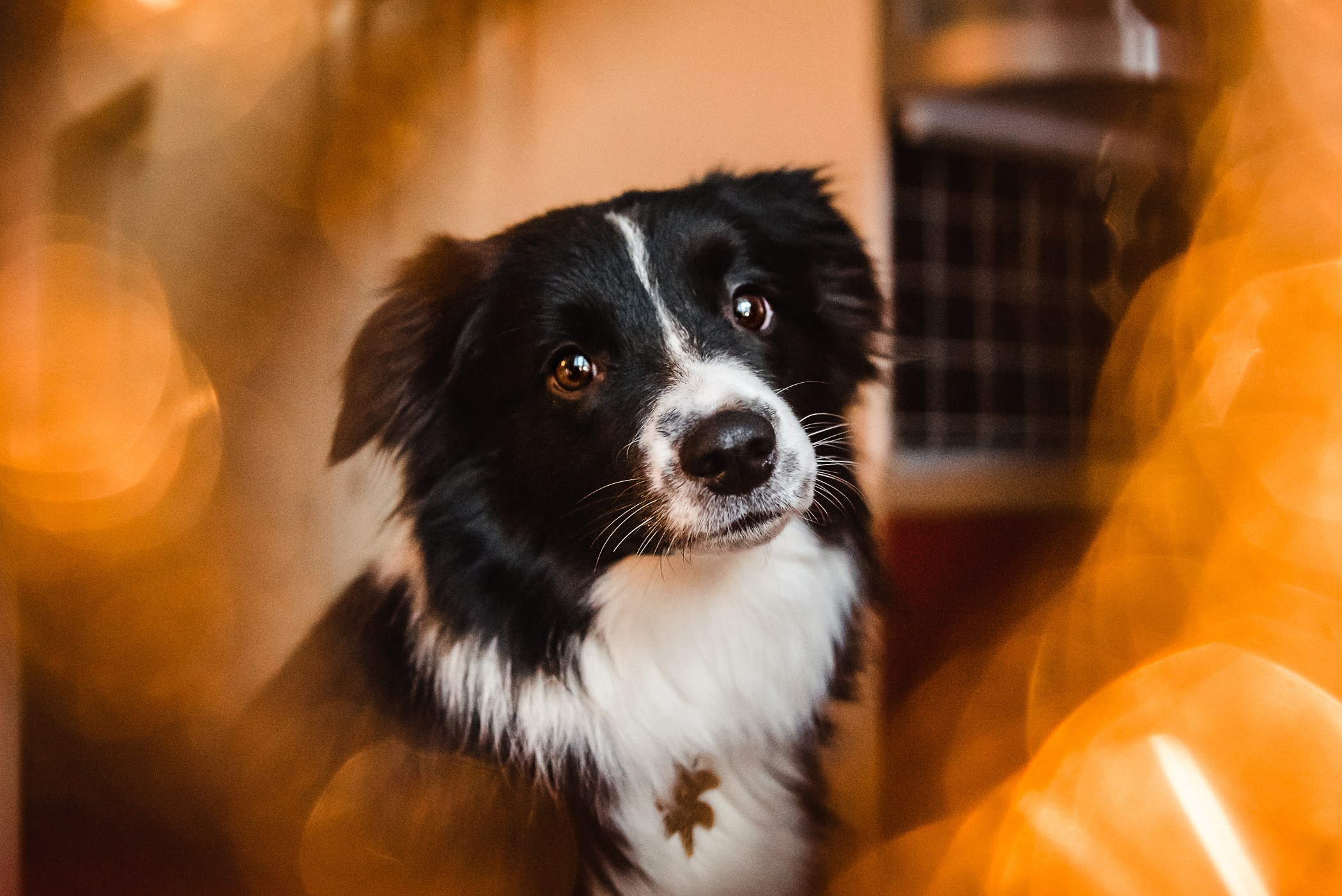 Пижамная вечеринка Тани и Димы. Семейный Фотограф в Москве Ирина Хохлова