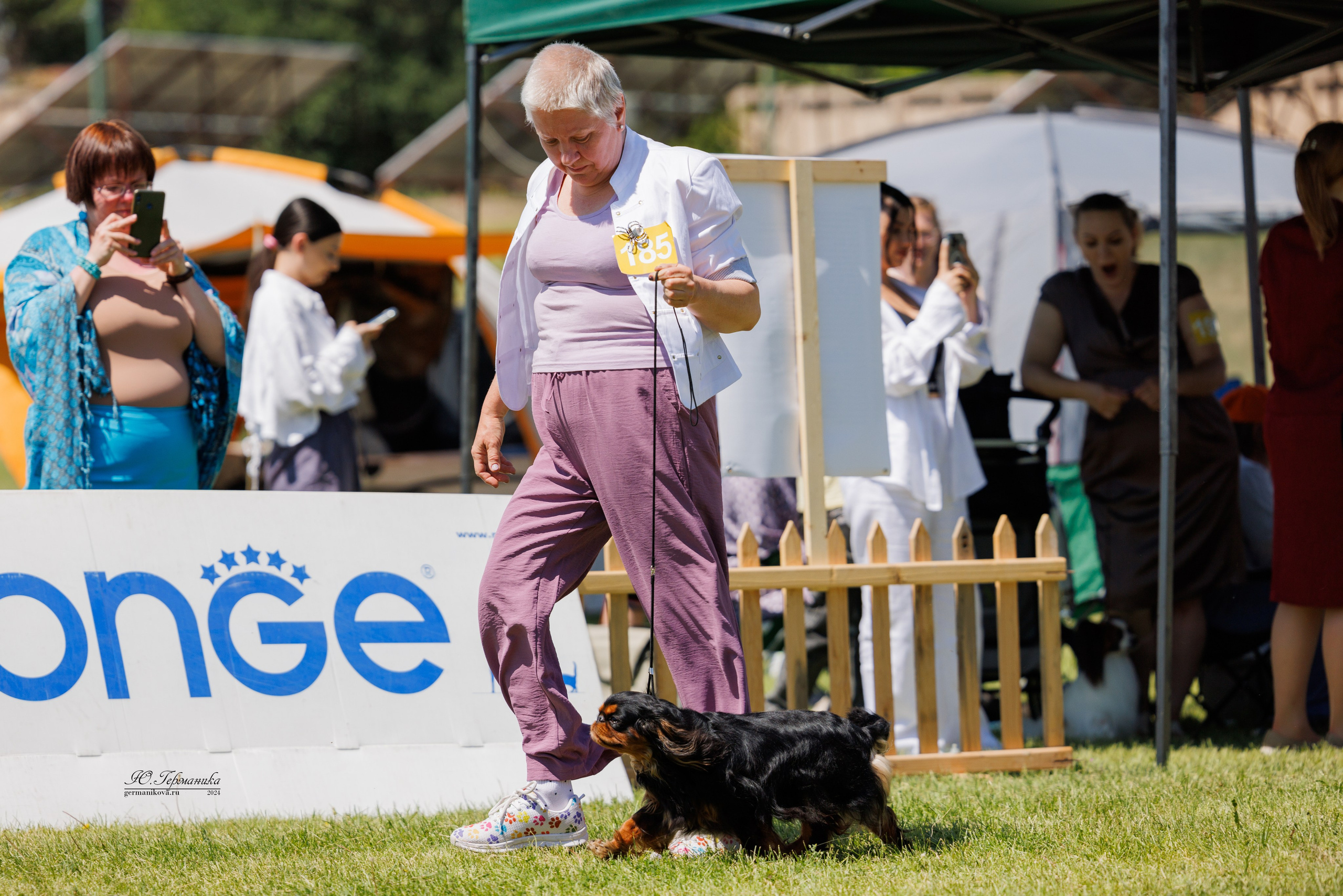 Ереван 3-5.06.2024. Фотограф-анималист Юлия Германика