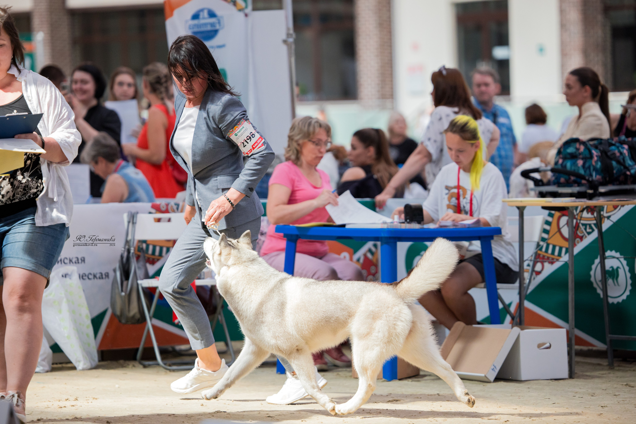 РОССИЯ 8-9.06.2024. Фотограф-анималист Юлия Германика
