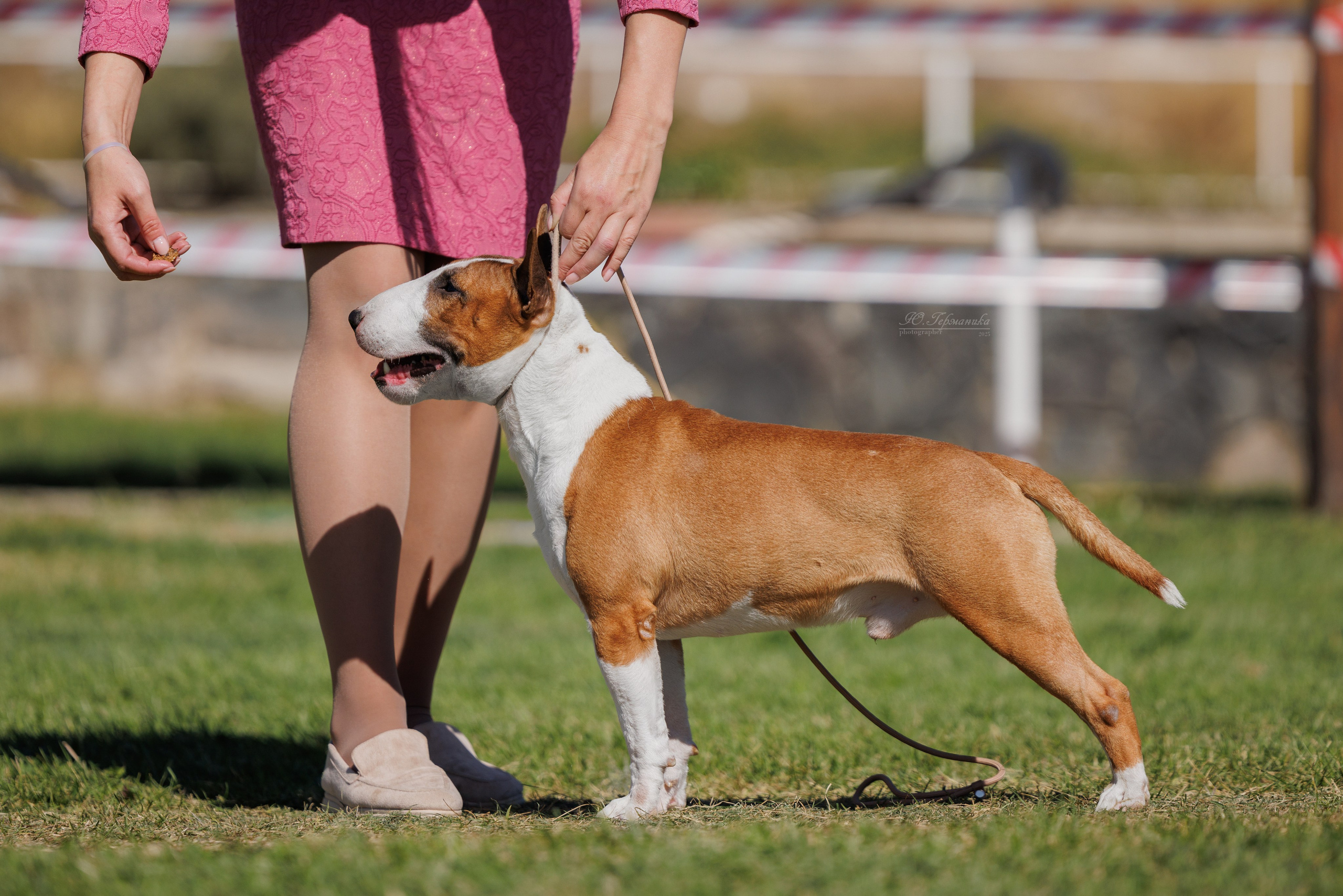 Телави 11-12.10.2025. Фотограф-анималист Юлия Германика