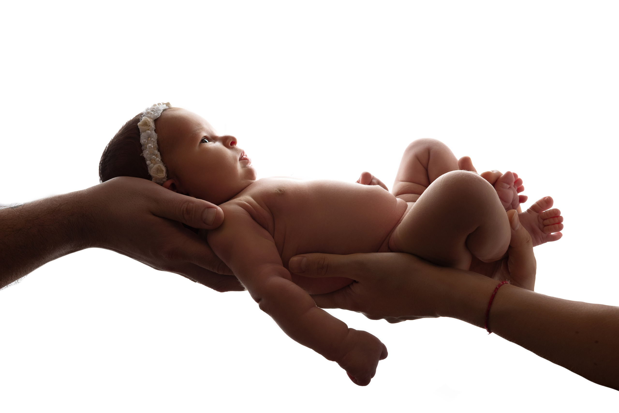 Фотогалерея. Фотограф новорожденных в Моксве и МО, Альбина Саламатова