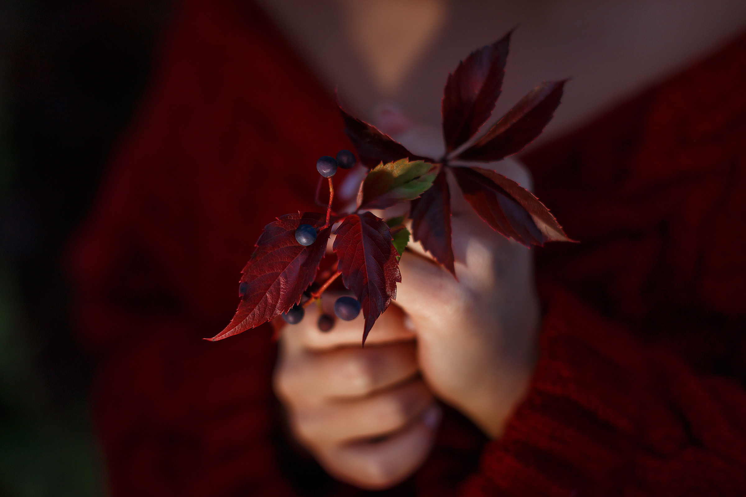 Услуги и цены. Фотограф в городе Томске. Жданова Олеся