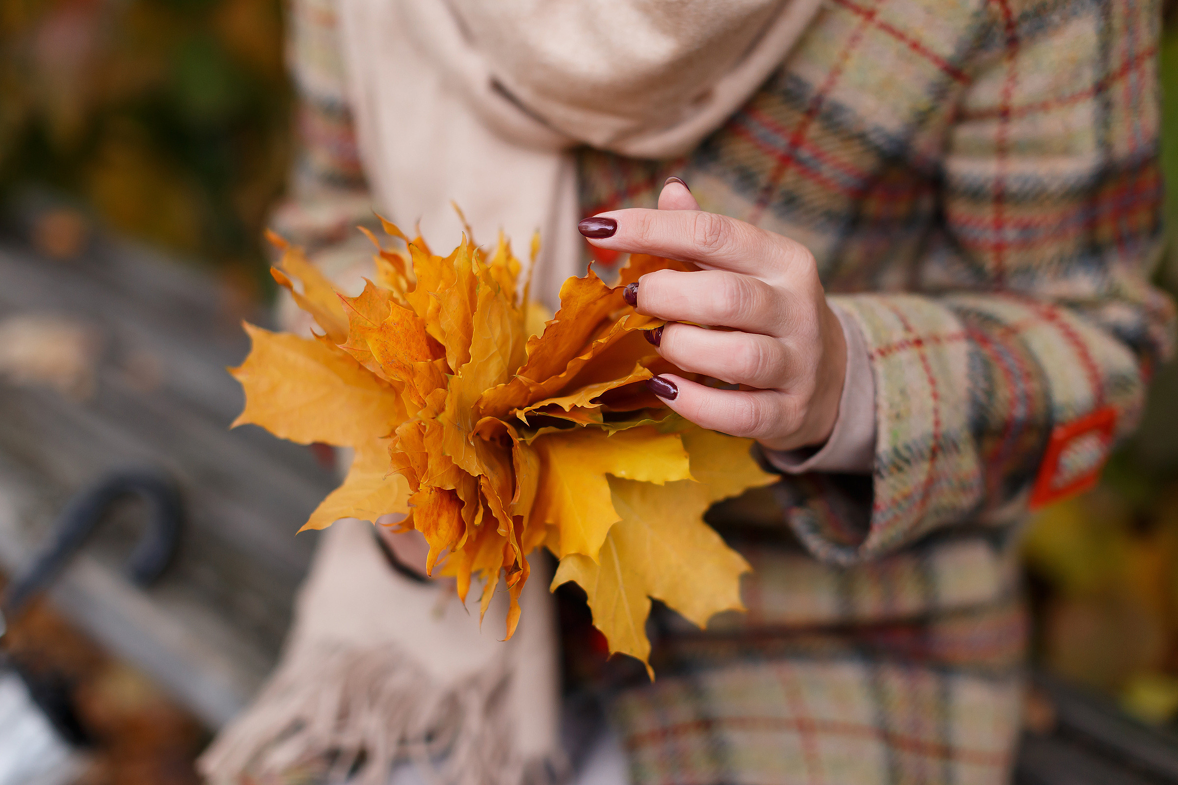Осеннее настроение. Фотограф в городе Томске. Жданова Олеся