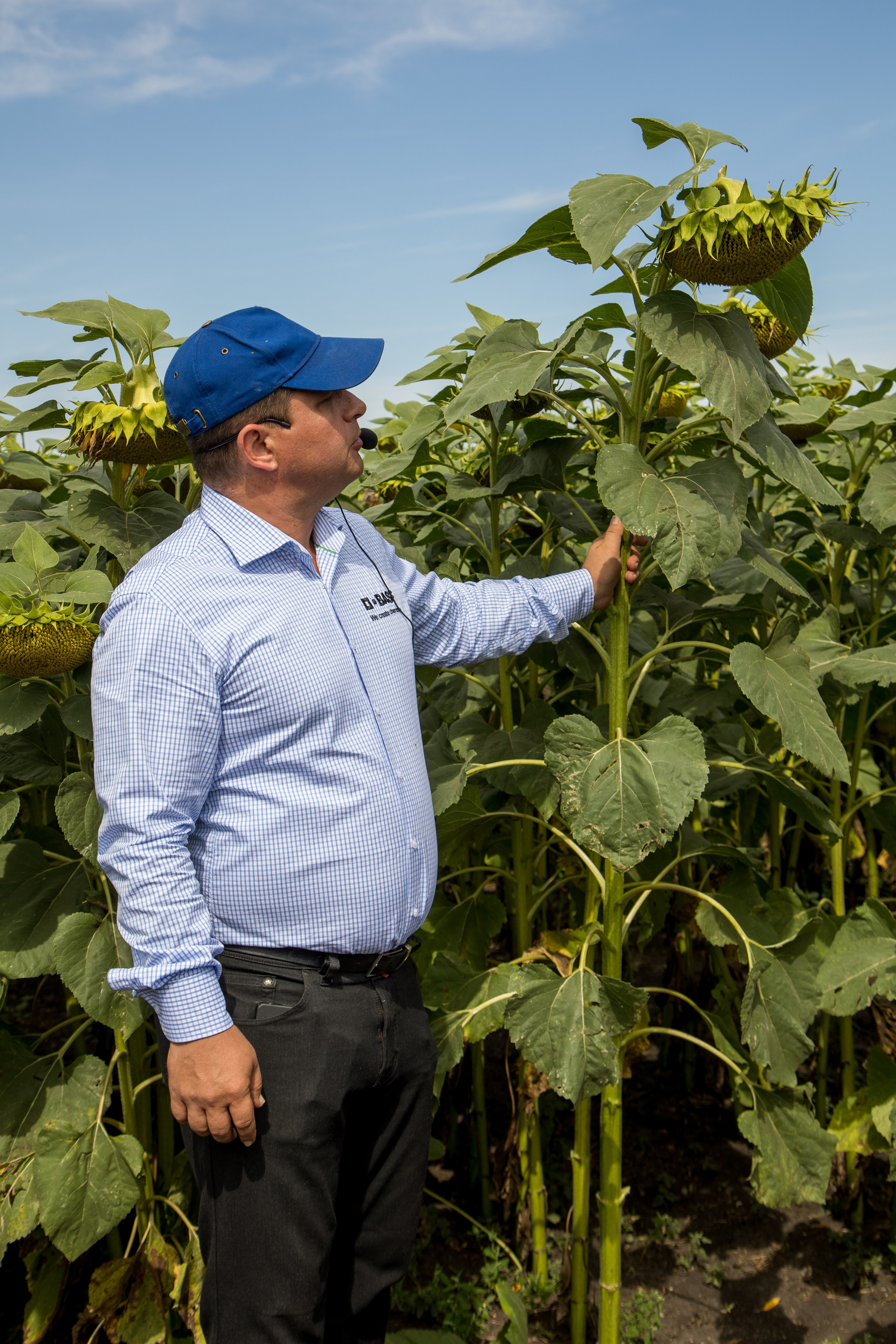 Решения для сельского хозяйства BASF 16.08.2022. Владислав Волков | Фотография и видеосъемка в Воронеже
