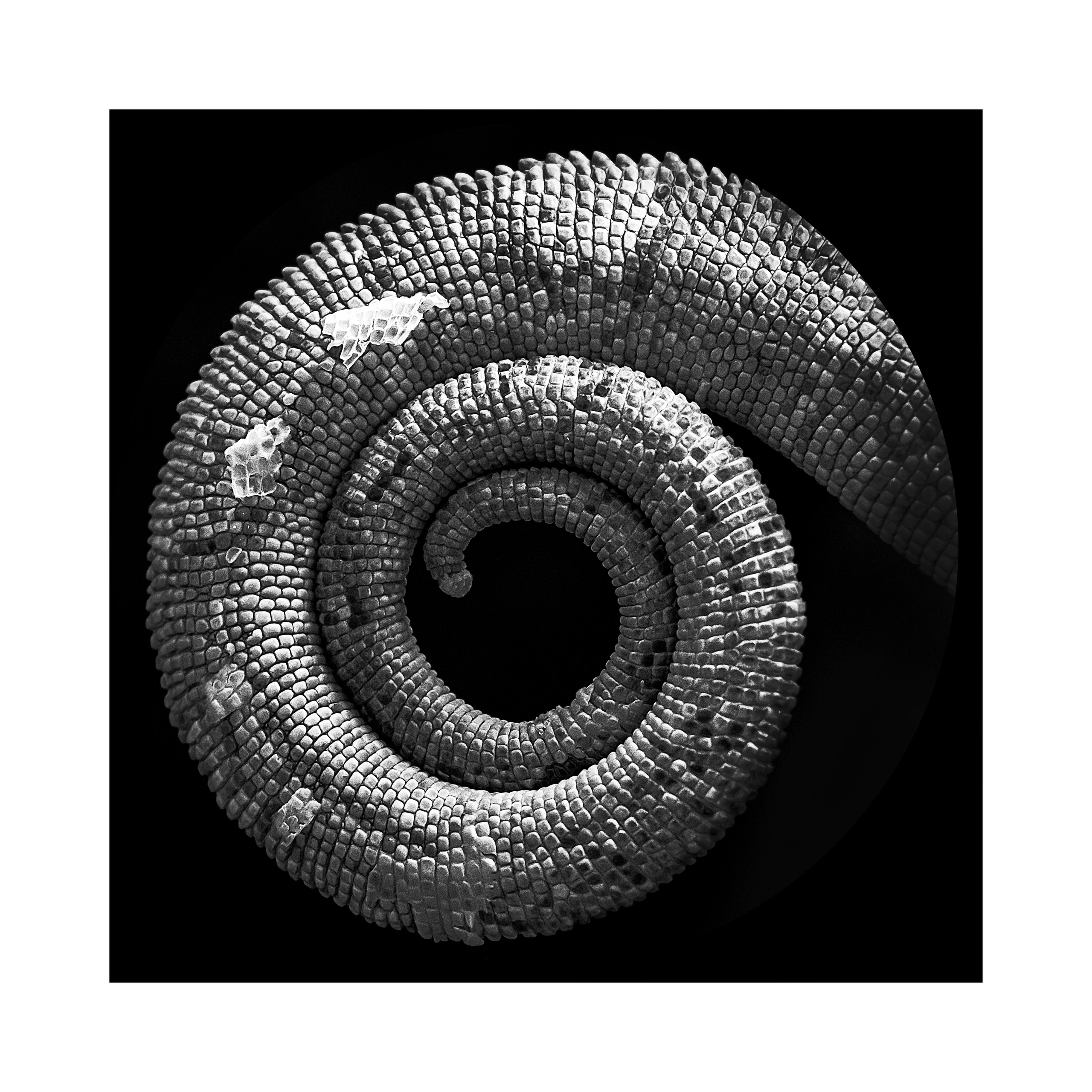 Фотопроект «Круги жизни». Портретный фотограф в Челябинске Катерина Руди