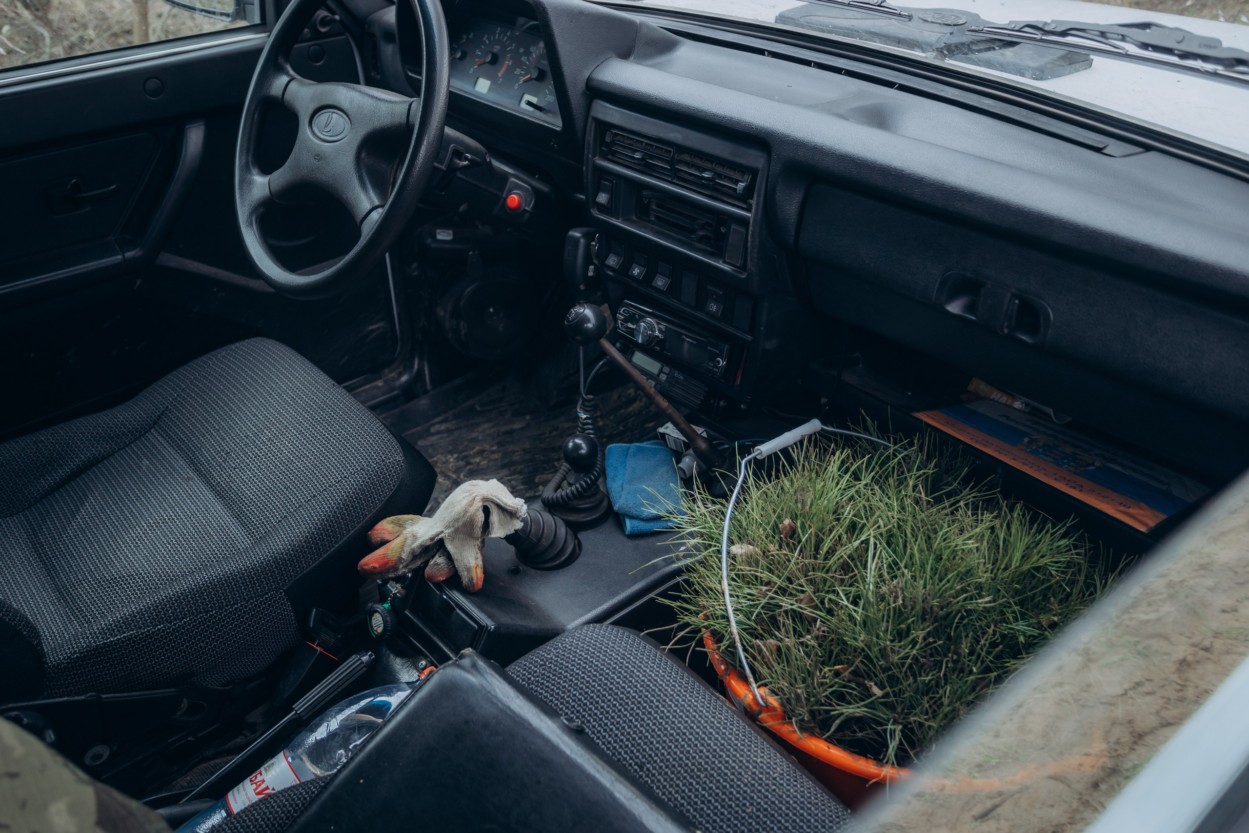 Акция «Лес будущего». Артём Панфилов — Свадебный и семейный фотограф в Ростове-на-Дону