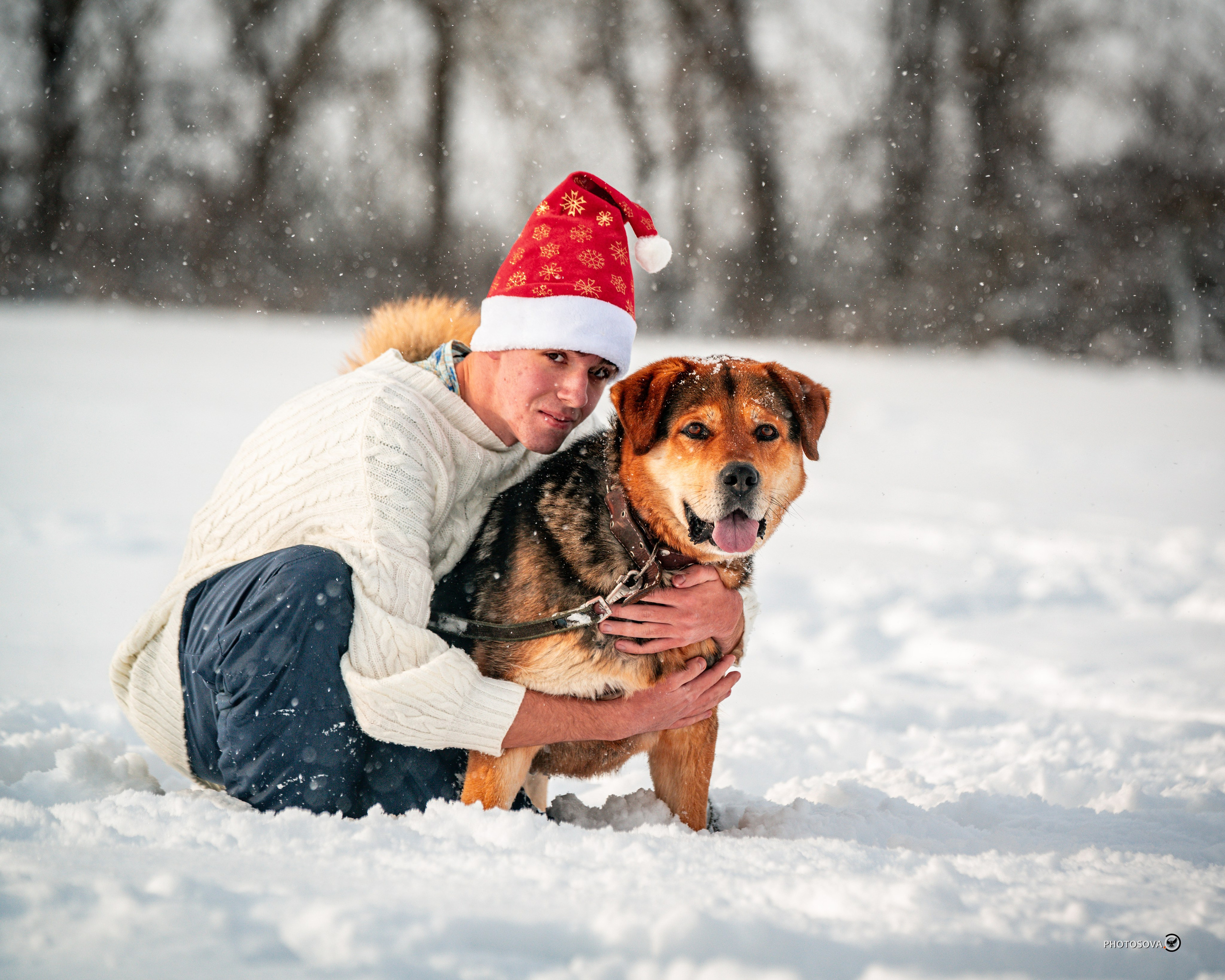 ФОТОПАМЯТЬ ВАШИХ ЭМОЦИЙ. Фотограф-анималист, семейный фотограф в Москве и Подмосковье. Фотосъёмка кинологических дисциплин