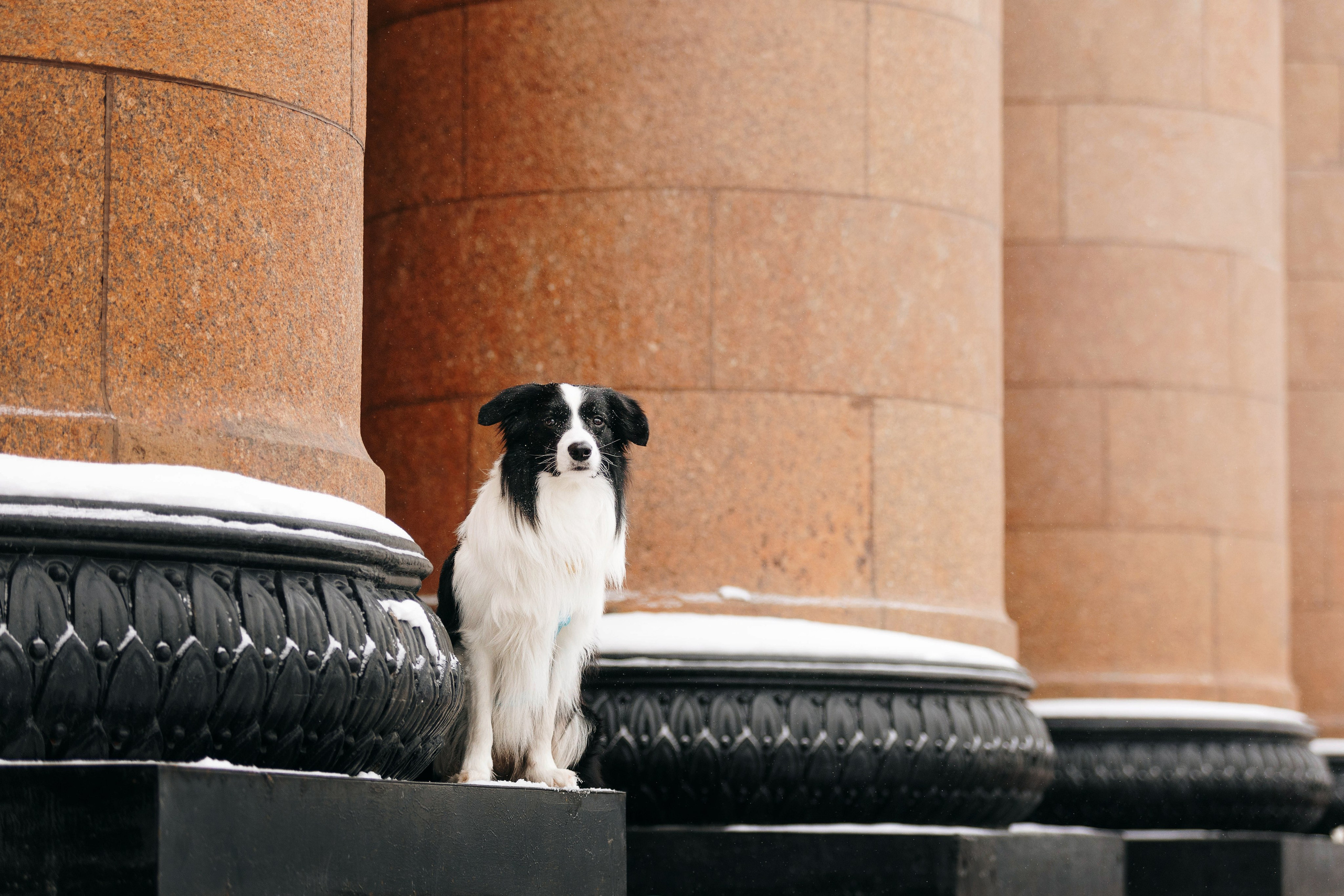 Москва / Лера и Саймон. Фотограф Кузина Вера