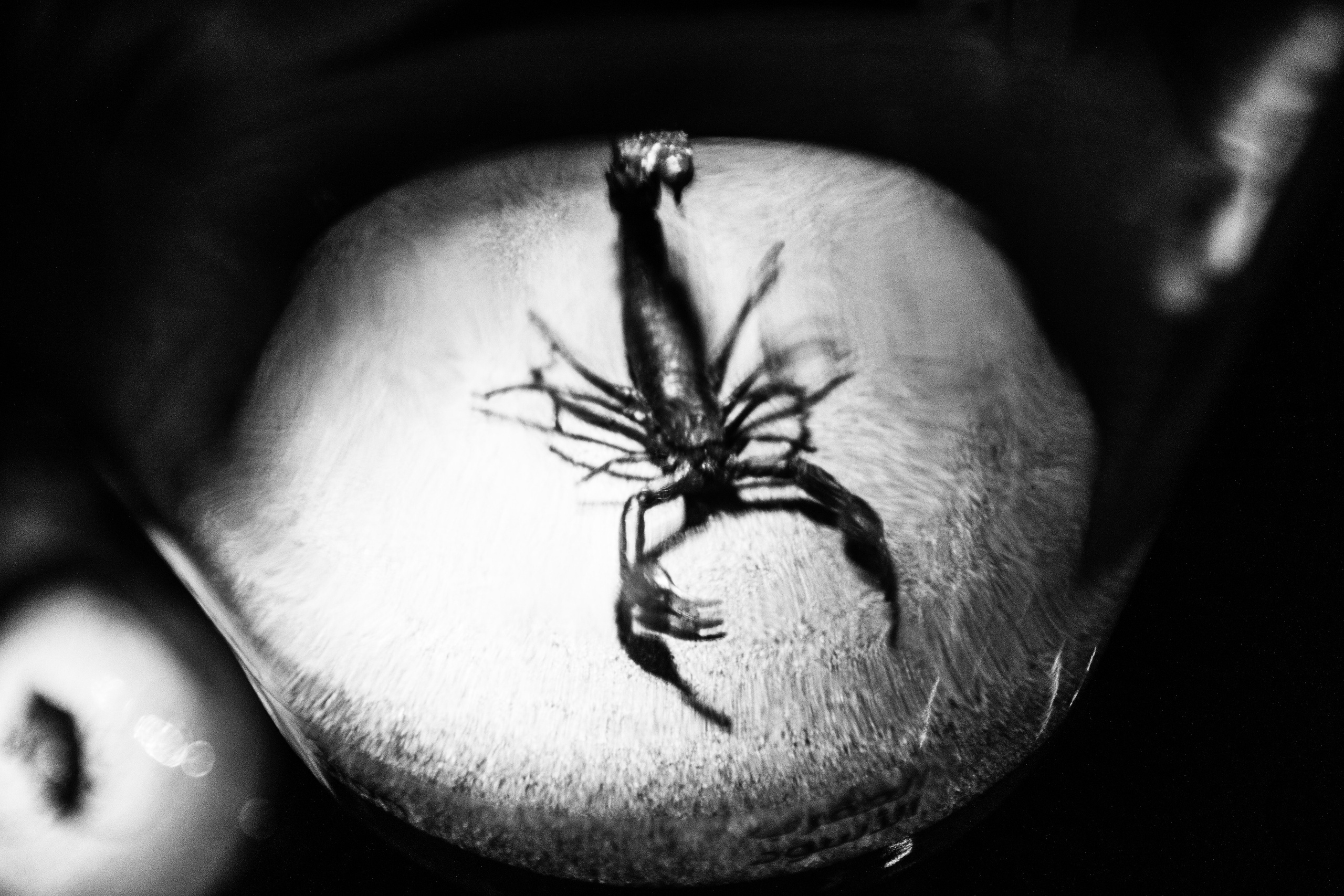 Дубай 2023. Руслан Плахтеев