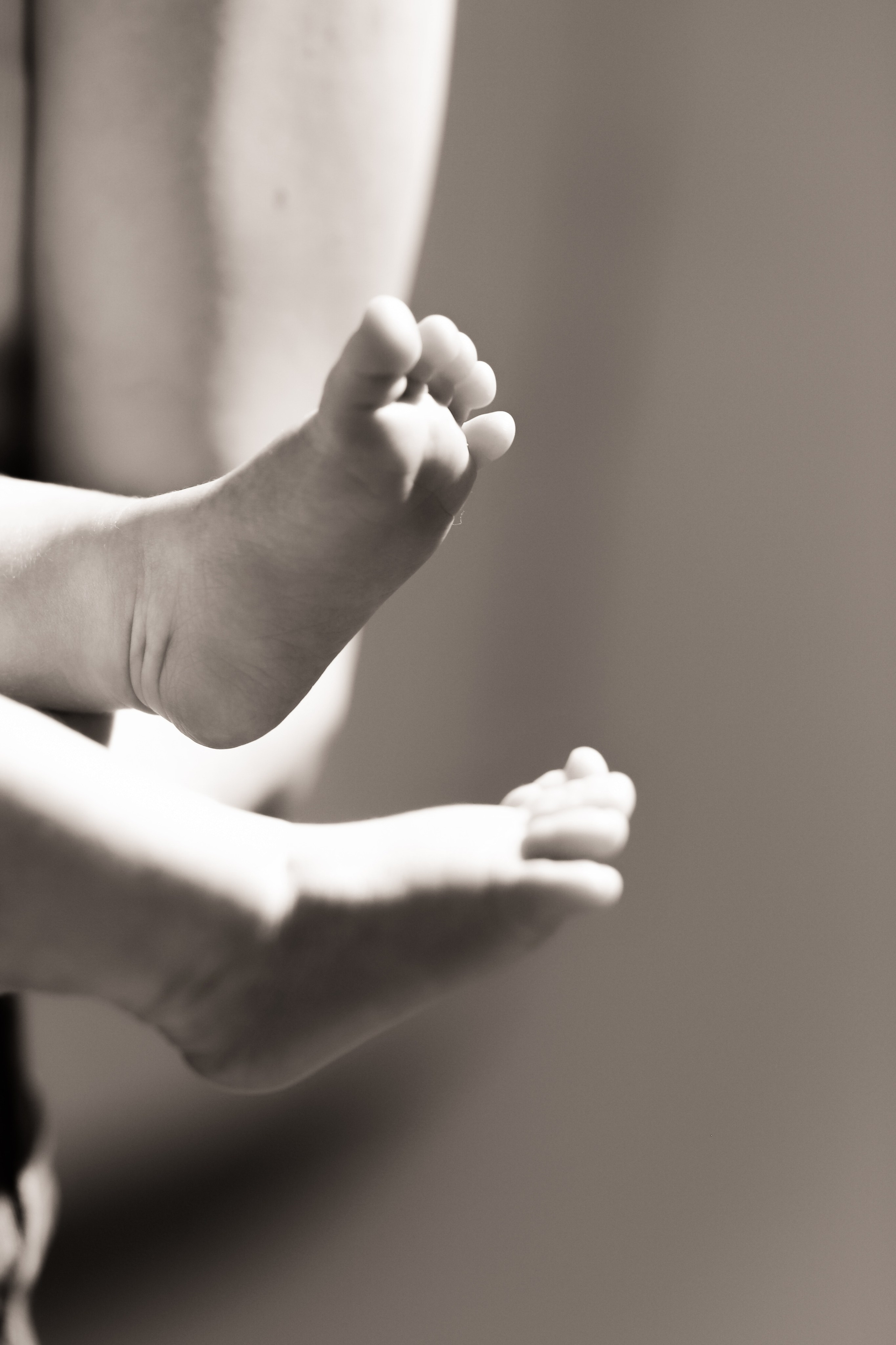 Семейная. Даша Лукошкина Фотограф Шуя | Иваново