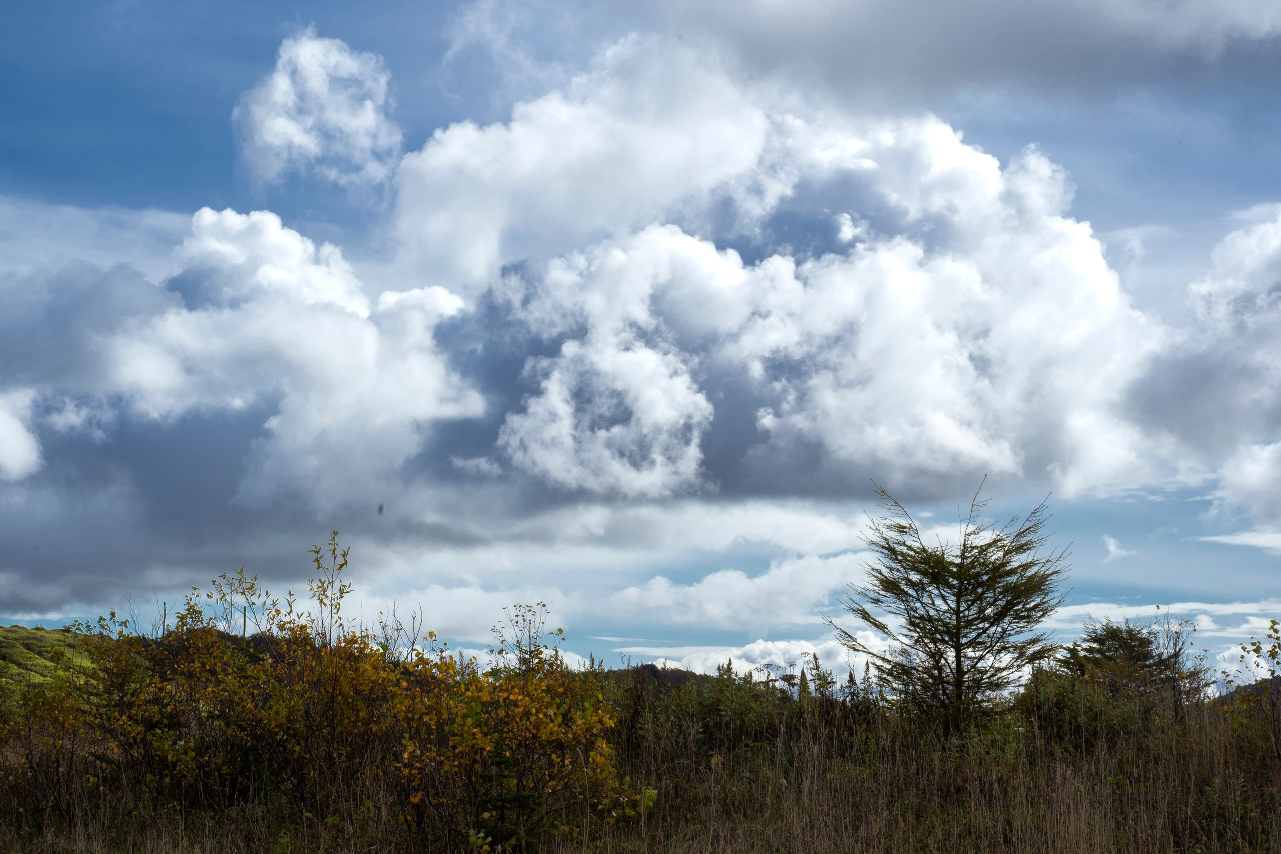 НАД ВОДОЙ. Фотограф Татьяна Андриянова