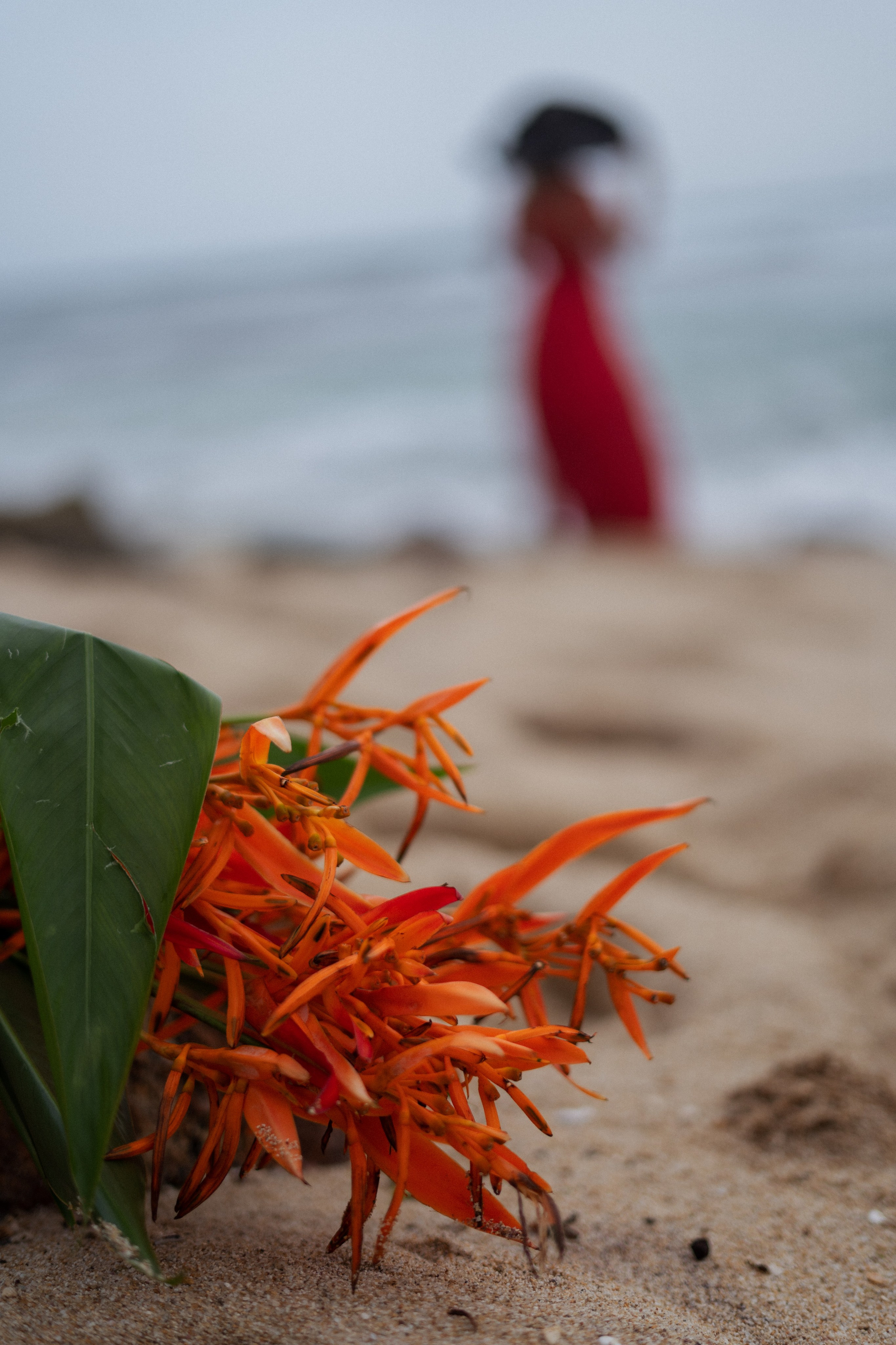 a blonde in a red dress standing on the shore of the ocean