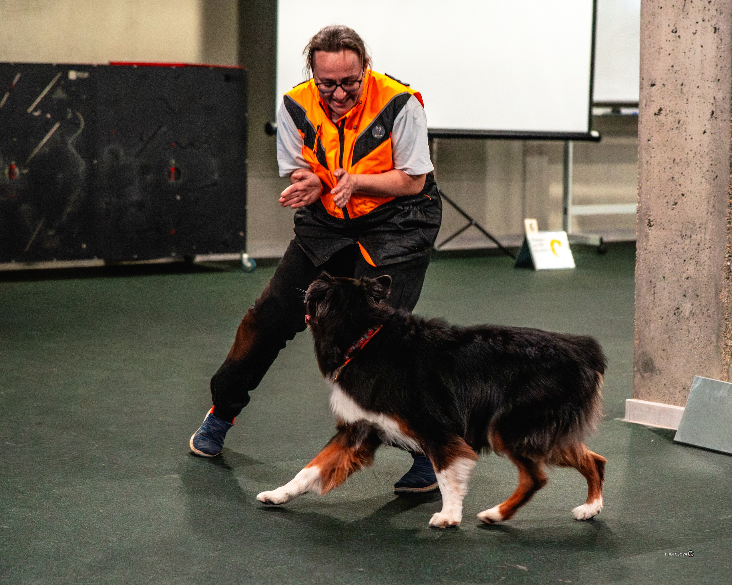 ТЫ И Я (соревнования по ралли-обидиенс). Фотограф-анималист, семейный фотограф в Москве и Подмосковье. Фотосъёмка кинологических дисциплин