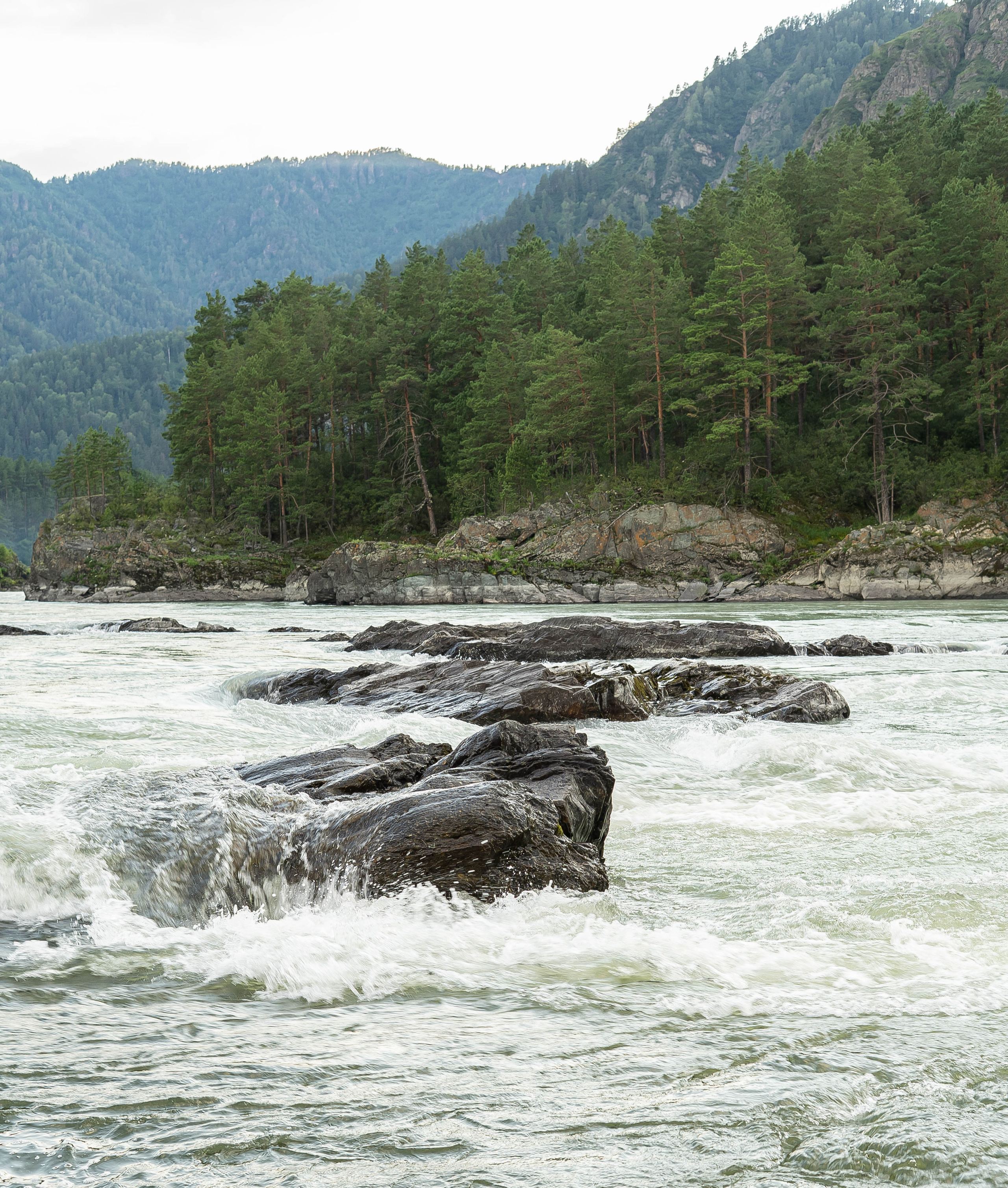 Фотосессия на природе Новосибирск Краснообск