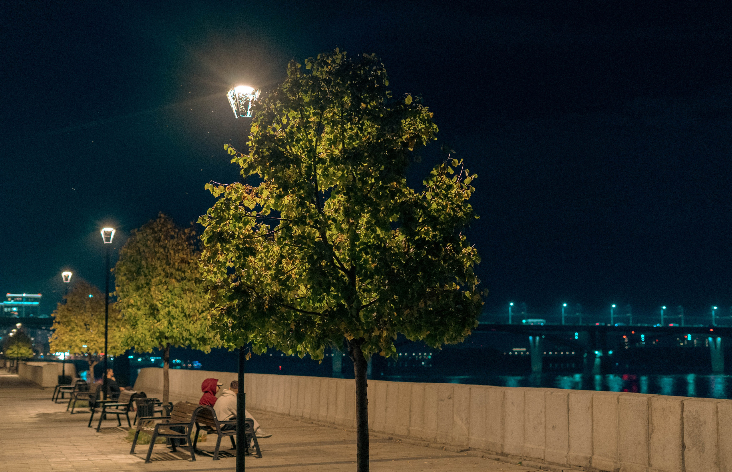 Фотосессия в ночном городе