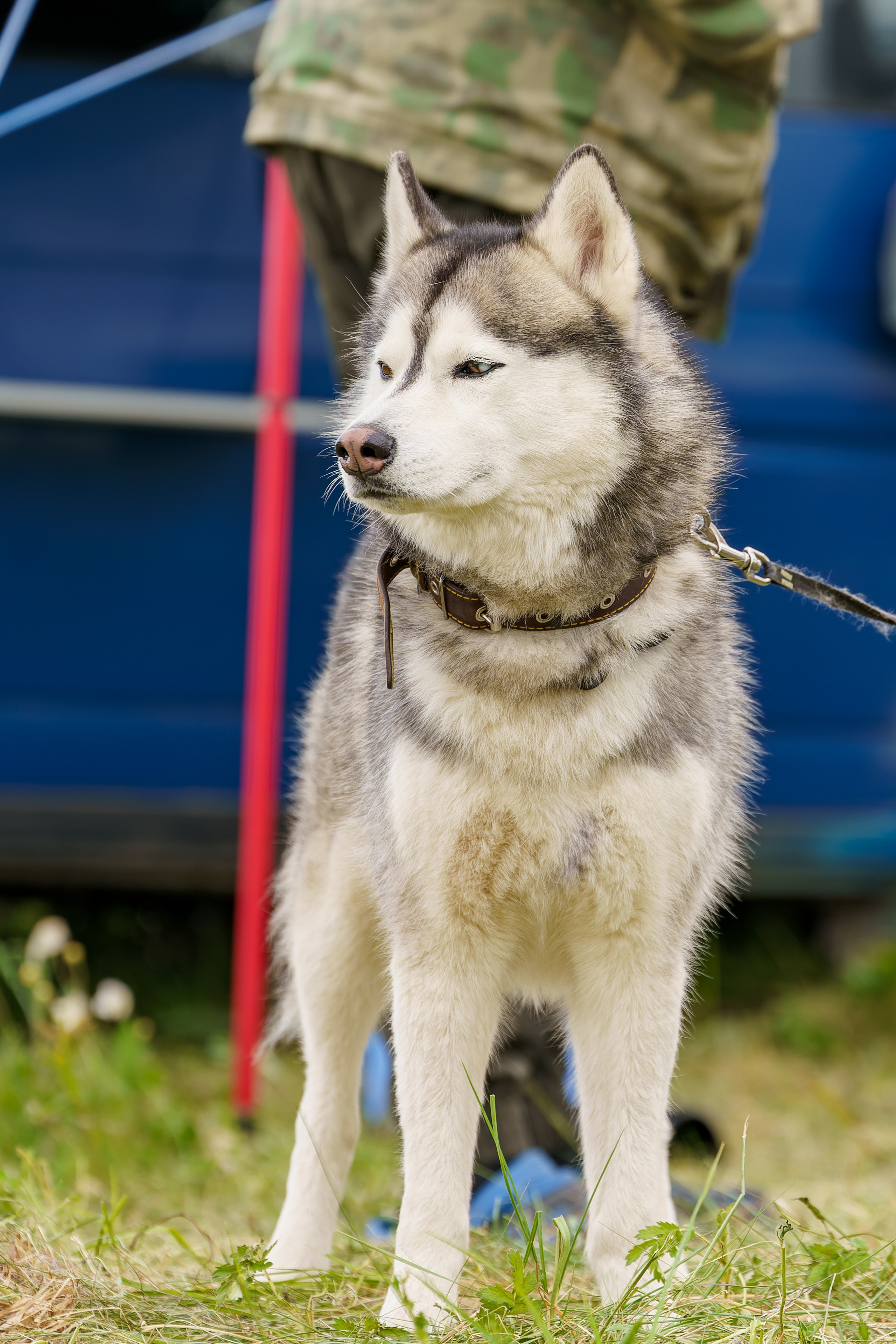 Фотосъёмка культурных массовых мероприятий, выставки, концерты, репортажная съёмка. «Студия DRONAVT`s» — видеосъёмка и фотография г. Москва