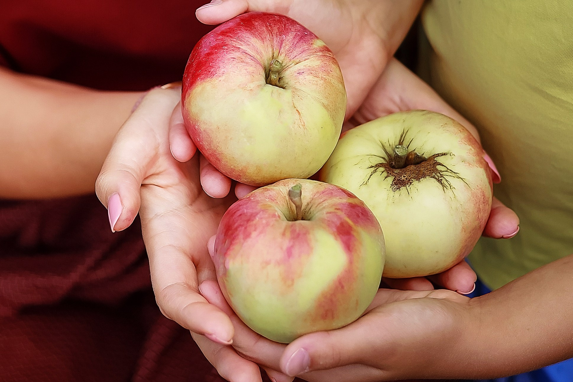 Елена и семья. Фотограф в Москве Ксения Мокрушина | Brand & Women photographer