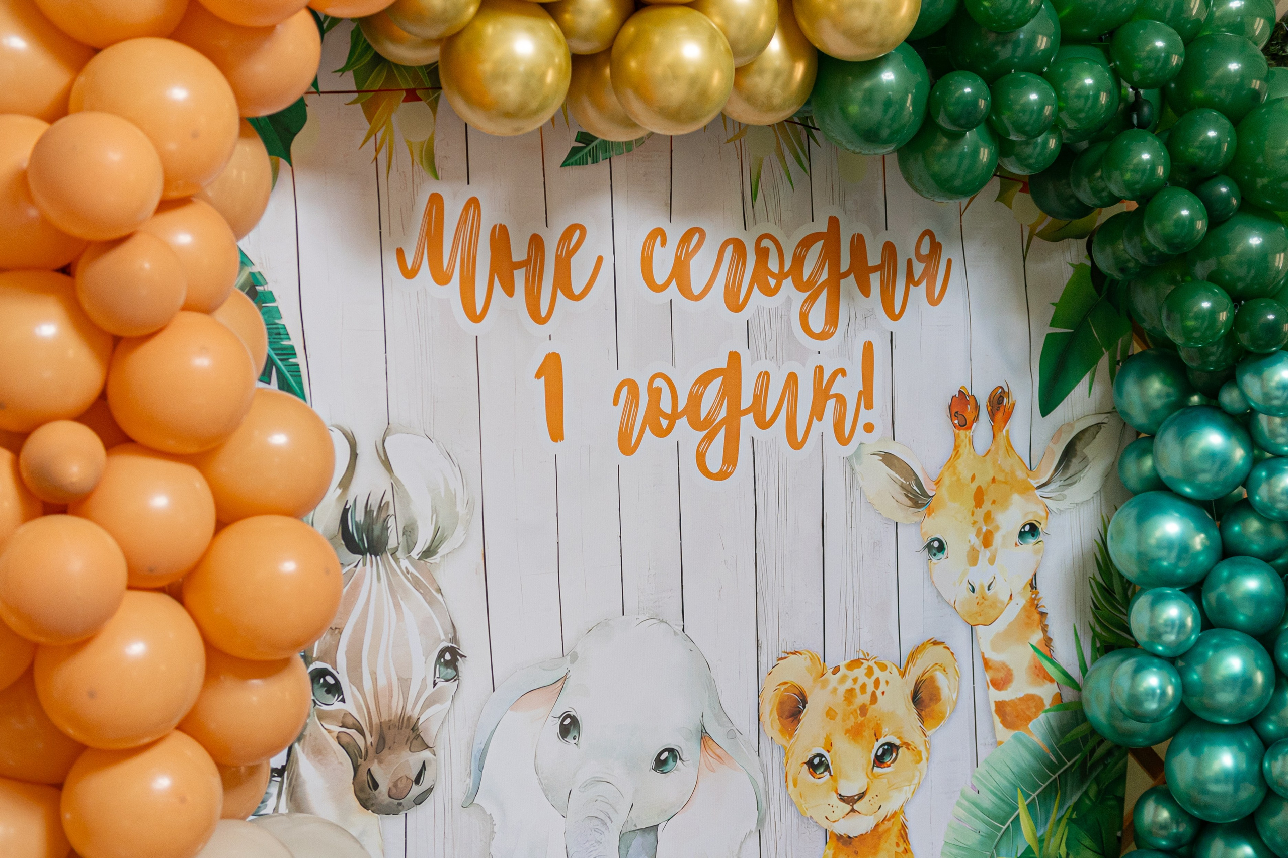 День рождения Мирона. Семейный Фотограф в Красноярске Анастасия Попова