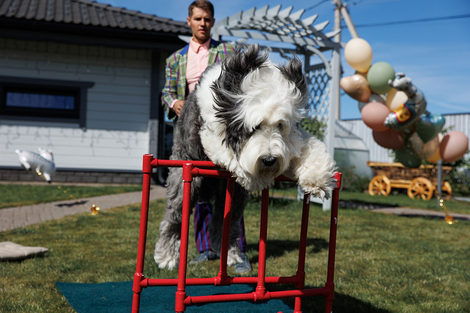 Детские праздники и дни рождения. Фотограф в Москве Валерий Боцман