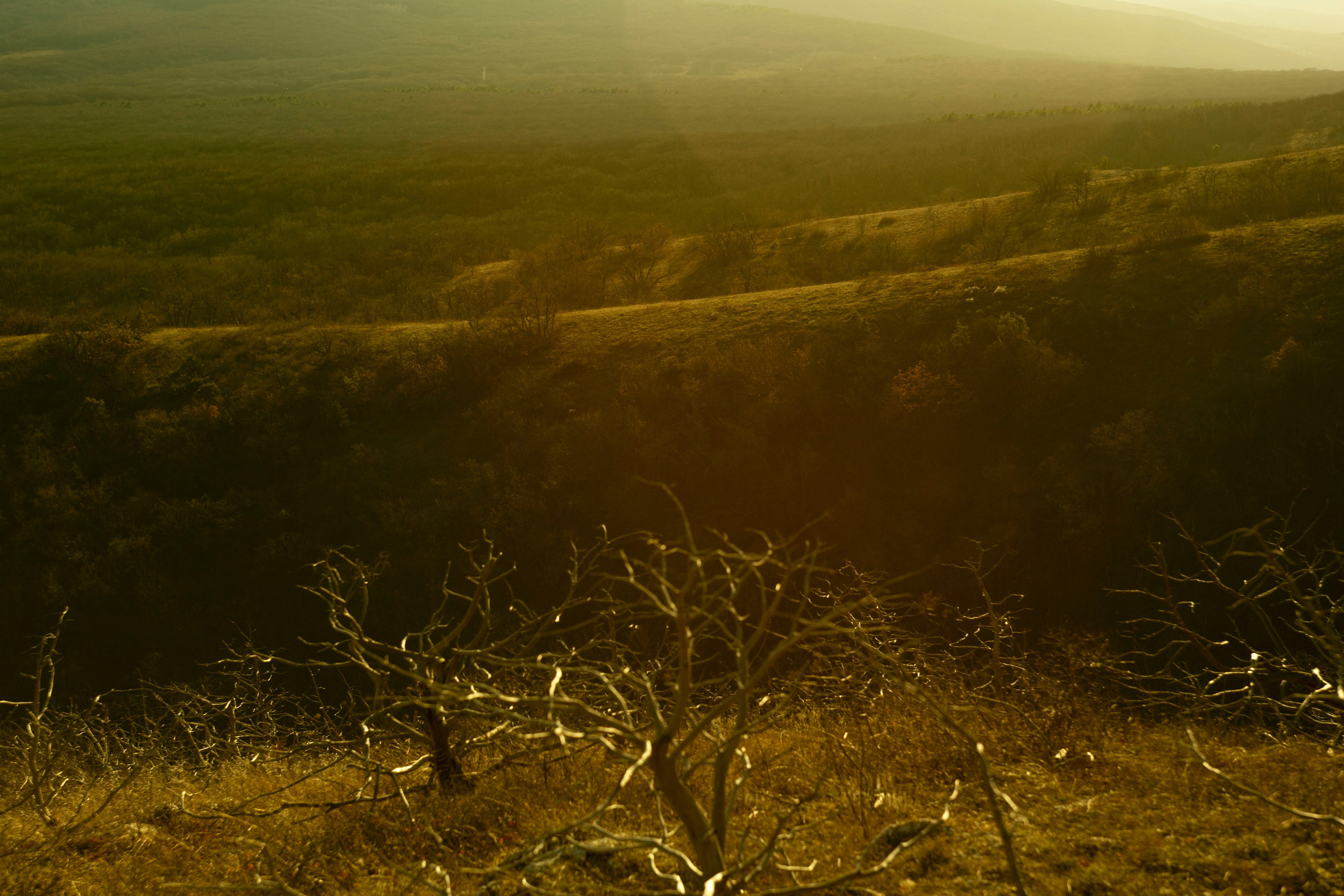 Крым. Ваш портретный фотограф в Москве Катя Прокофьева