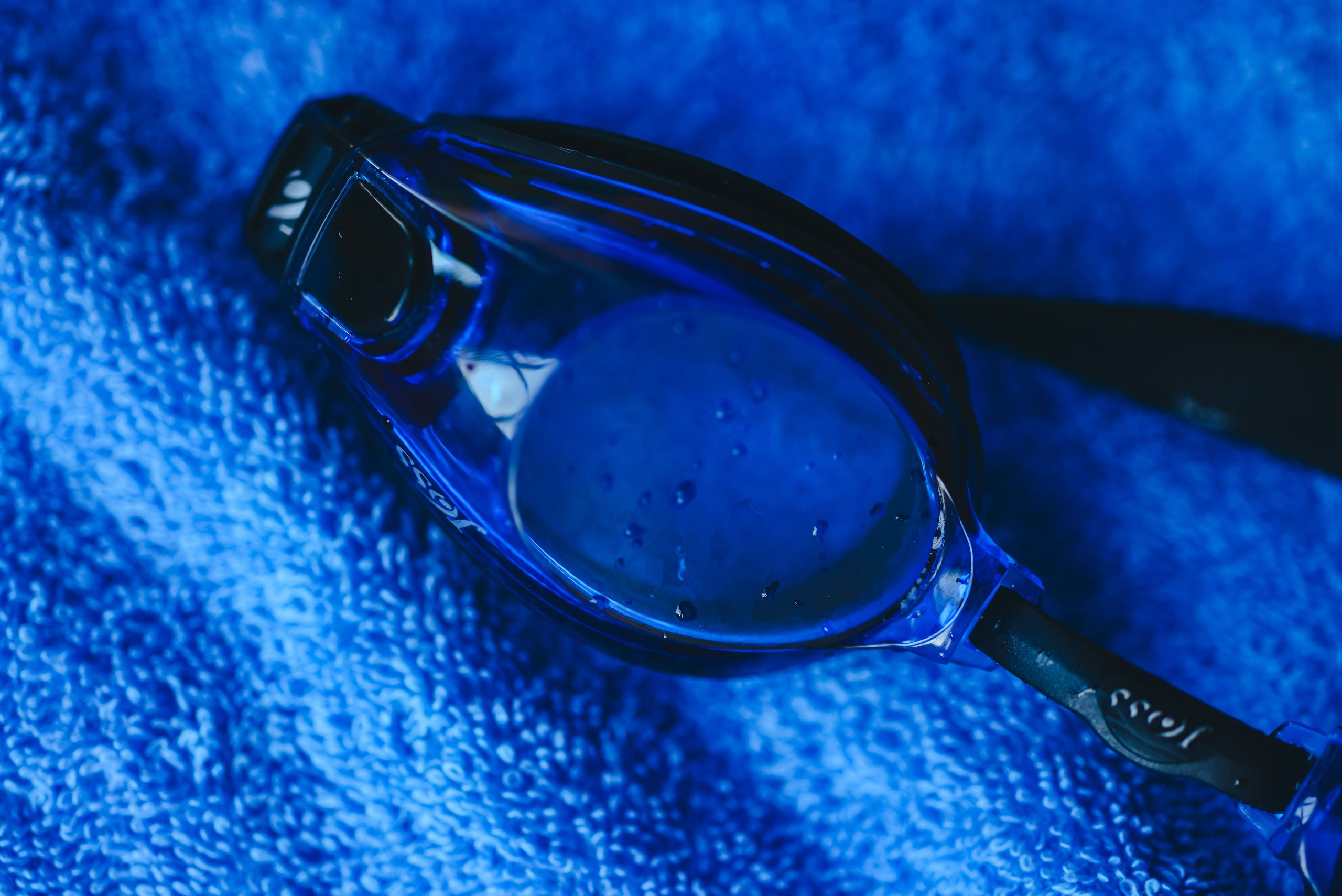 Sandros Swimming. Фотограф Людмила Белова